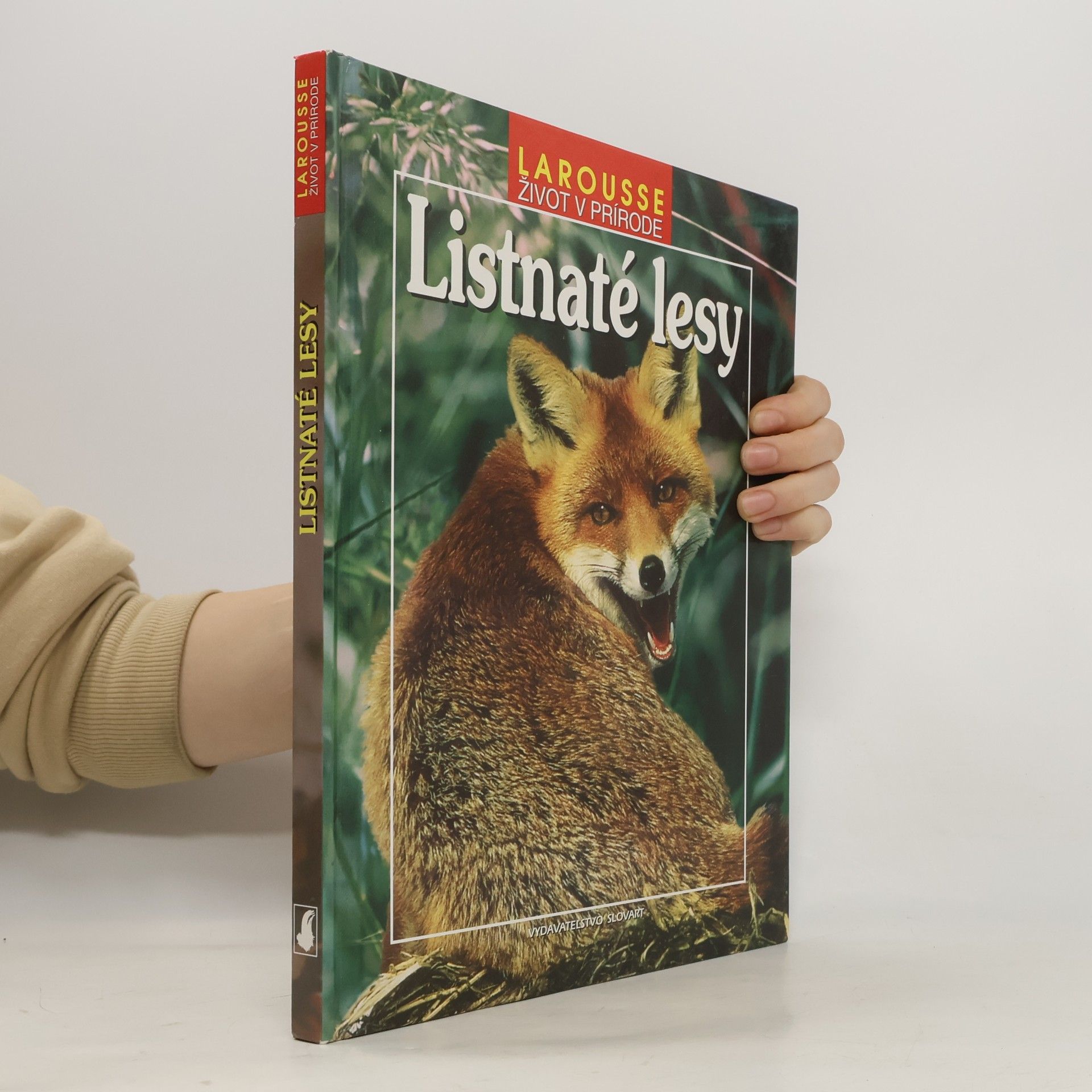 Kolektiv autorů Listnaté lesy