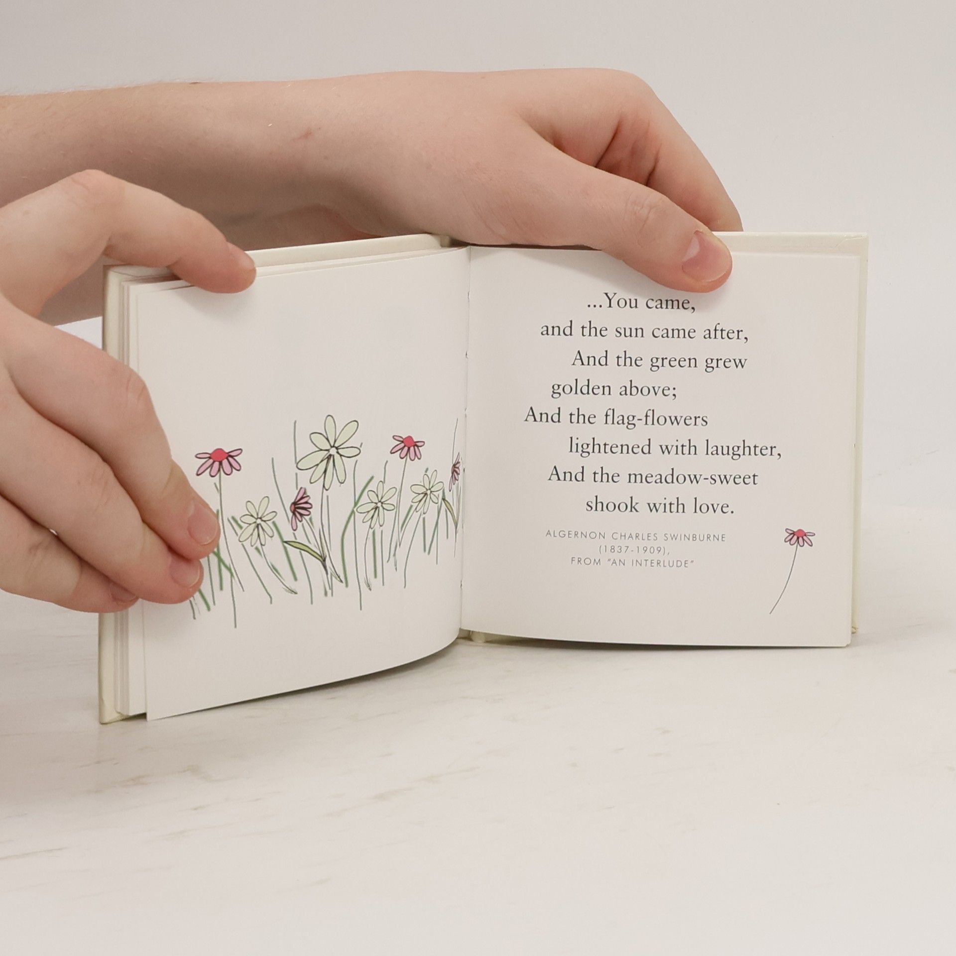 Helen Exley Helen Exley Giftbooks: I Love You Madly