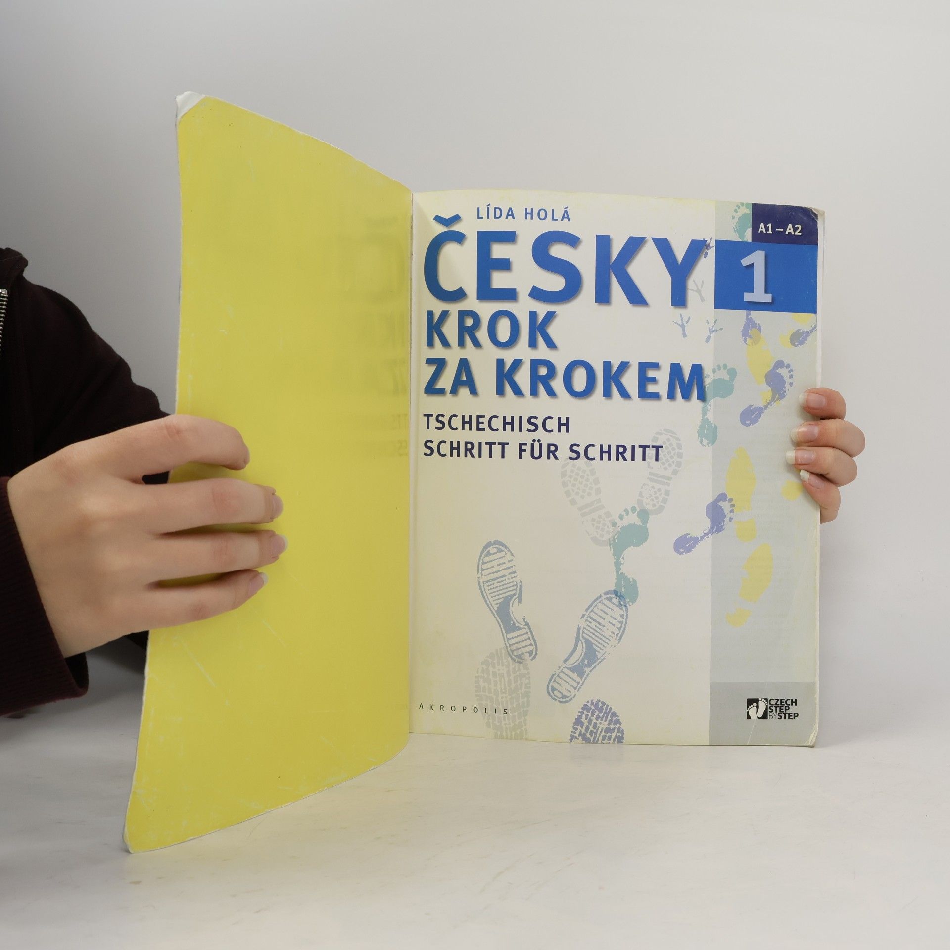 Lída Holá Česky krok za krokem 1. A1-A2 (Jen učebnice)