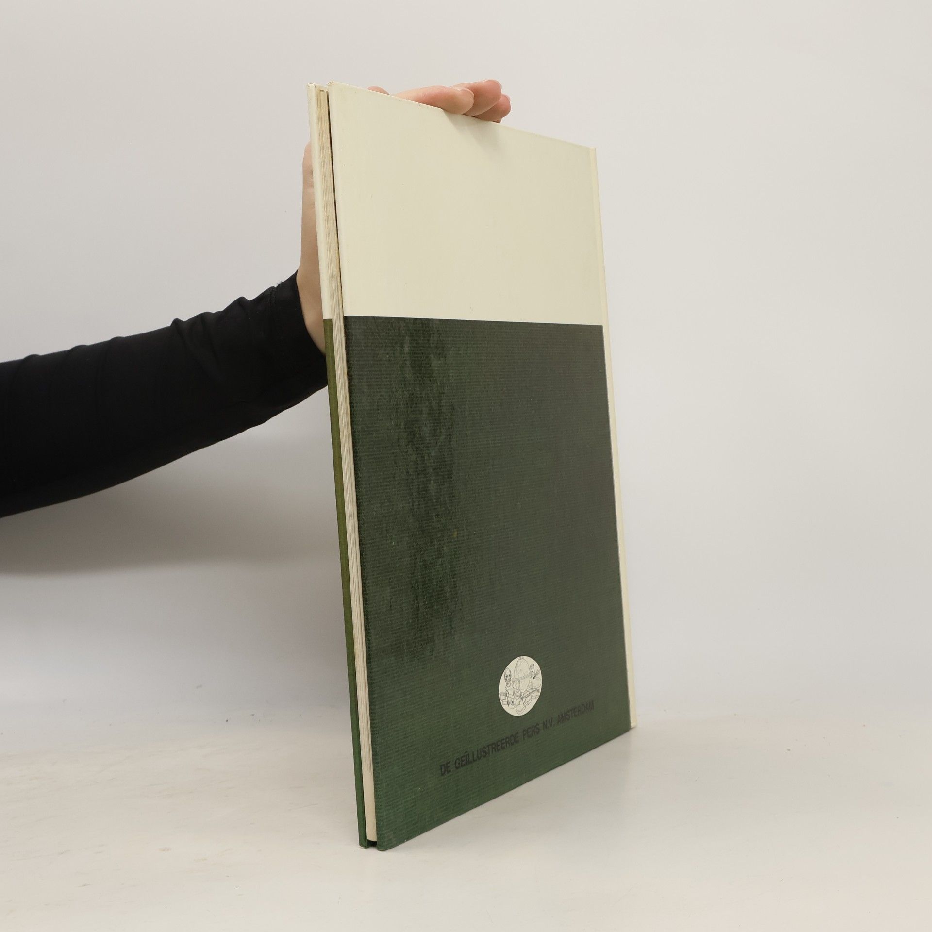 Gino Pugnetti Mozart