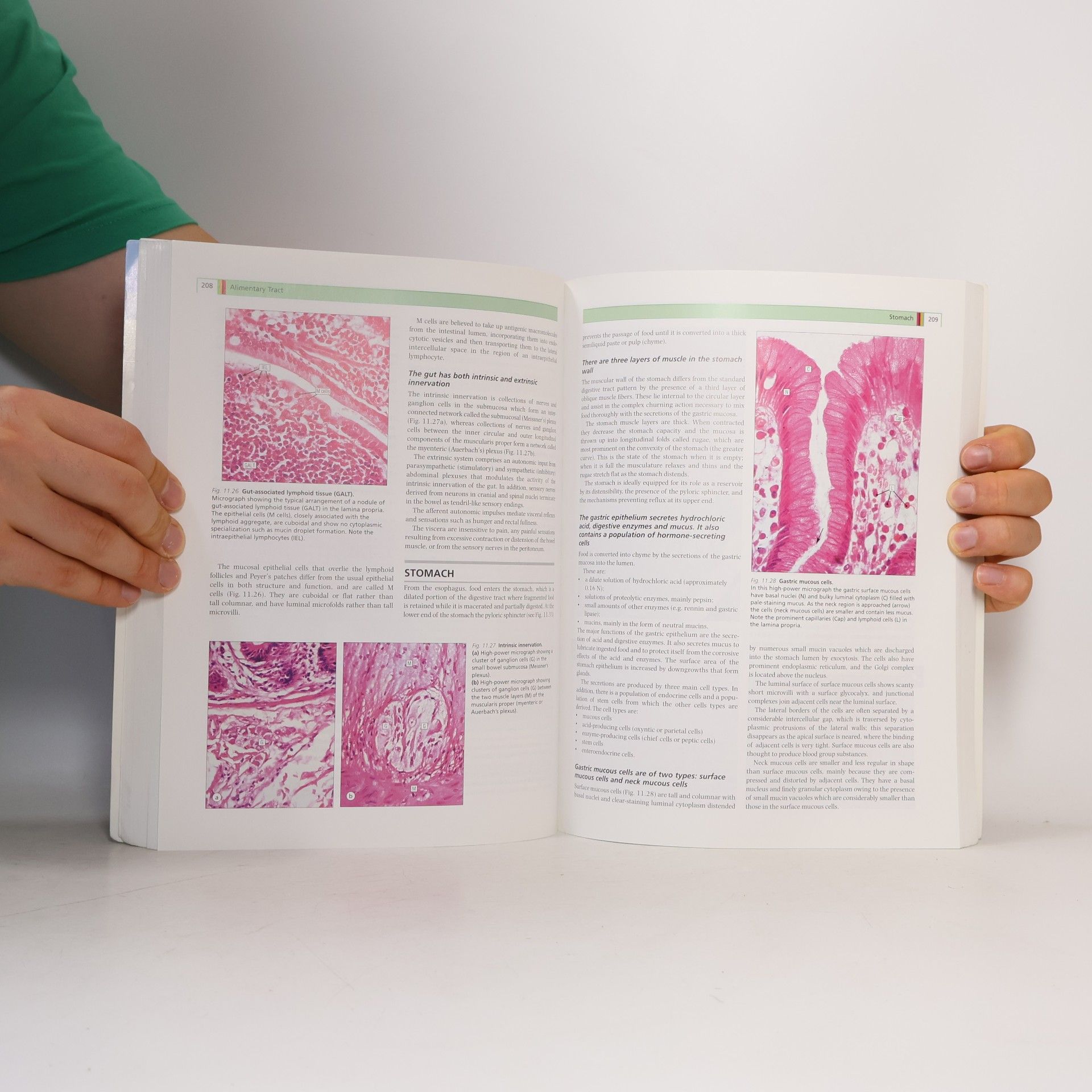 Alan Stevens Human Histology
