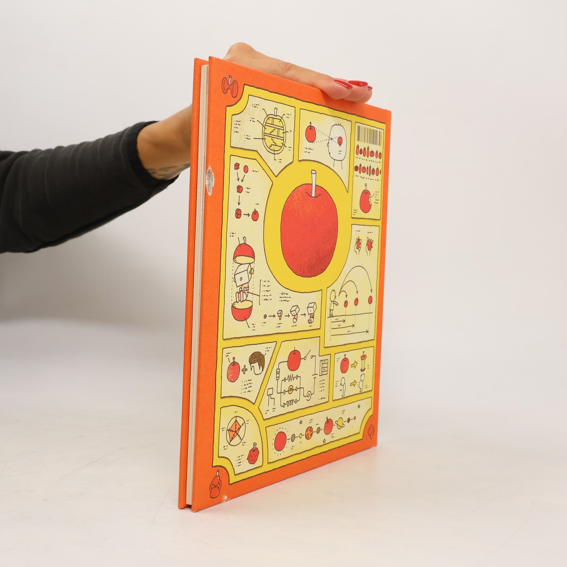 Shinsuke Yoshitake Možná je to jablko