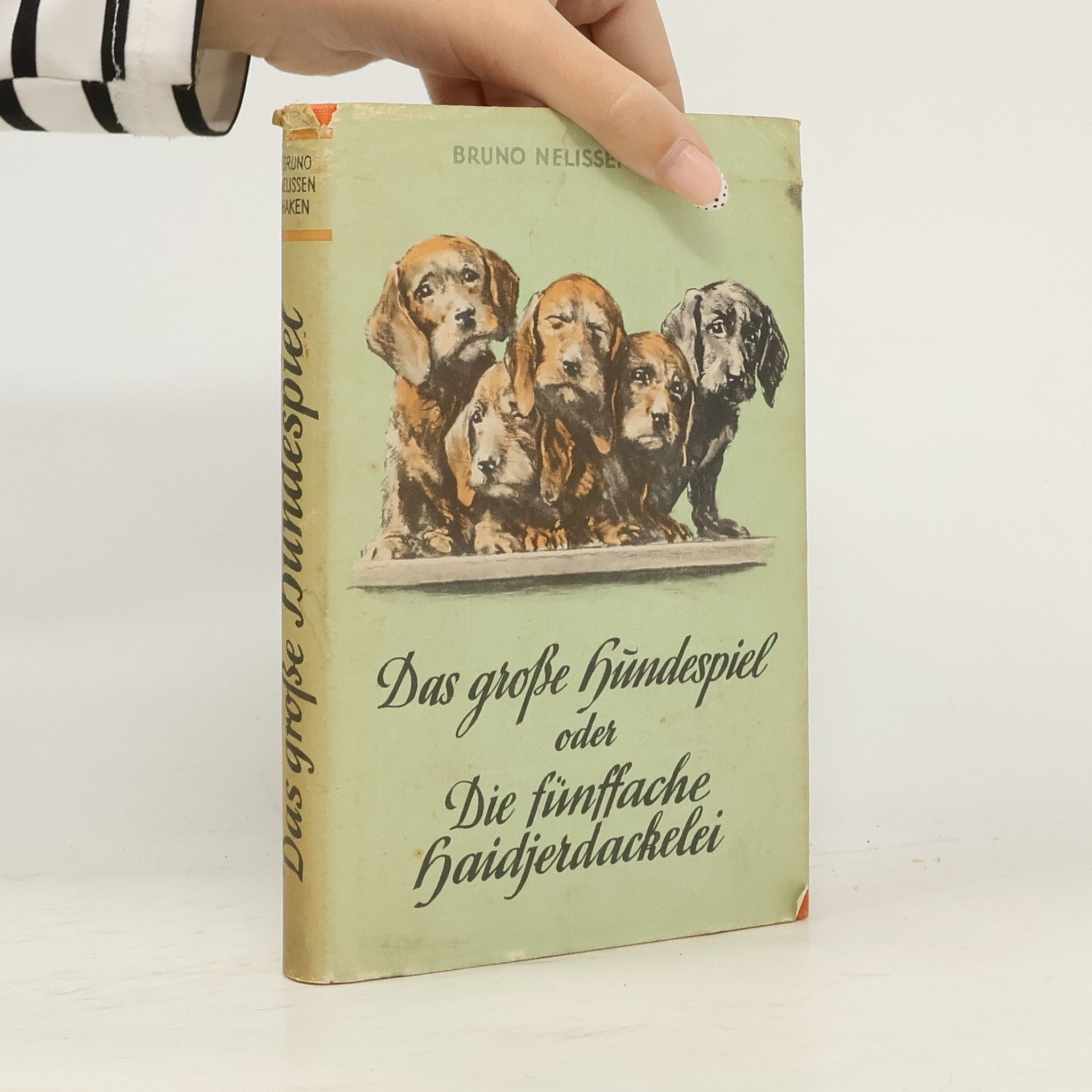 Das große Hundespiel