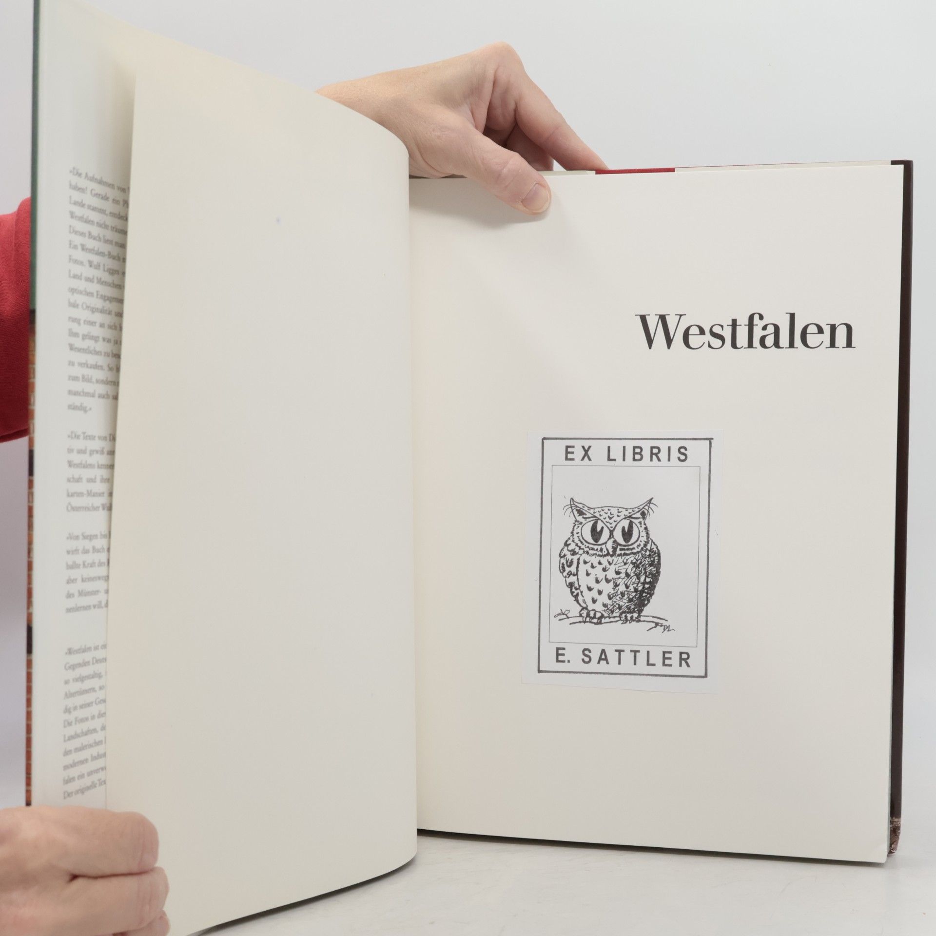Dieter Thomä Westfalen