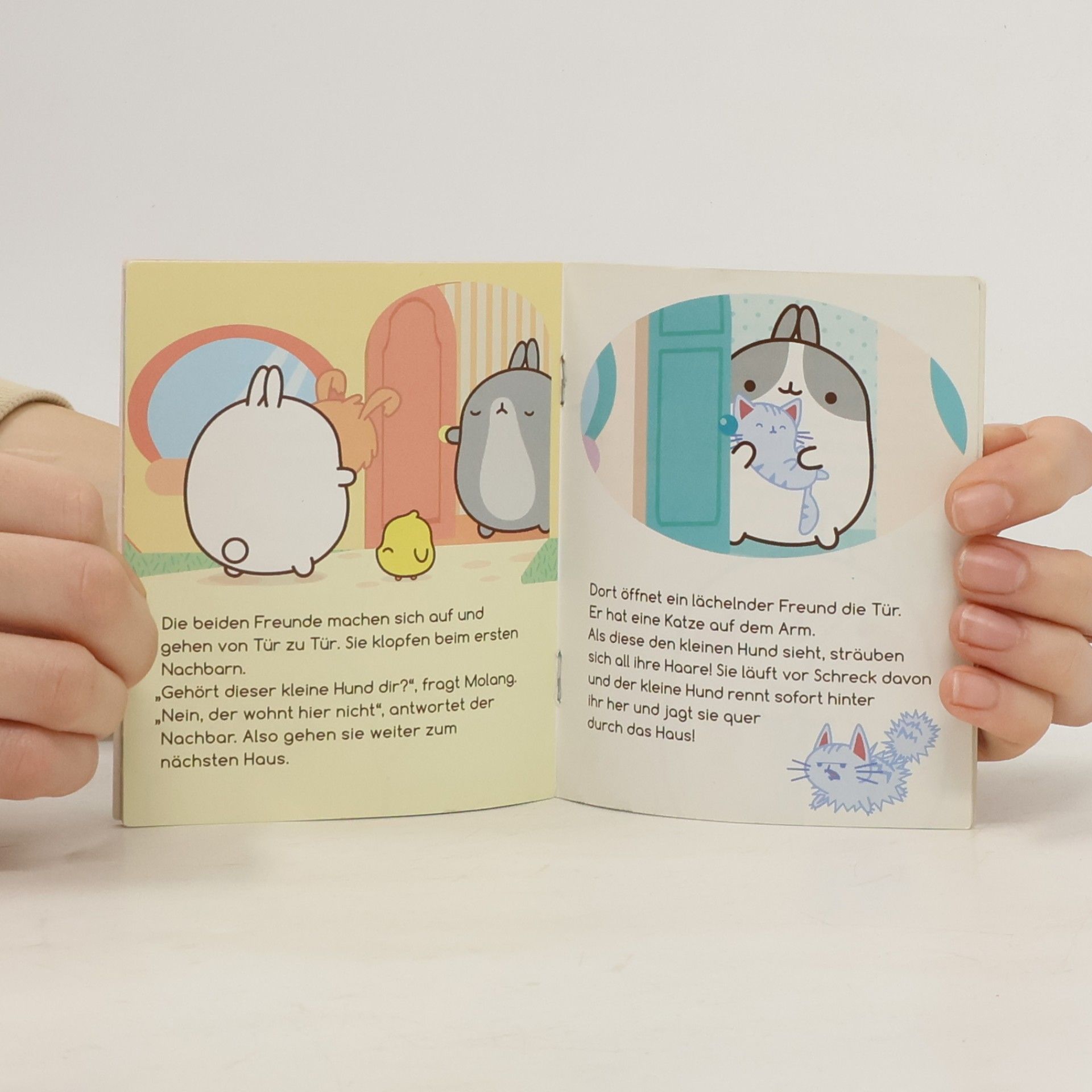 Autorenkollektiv Molang. Der Welpe