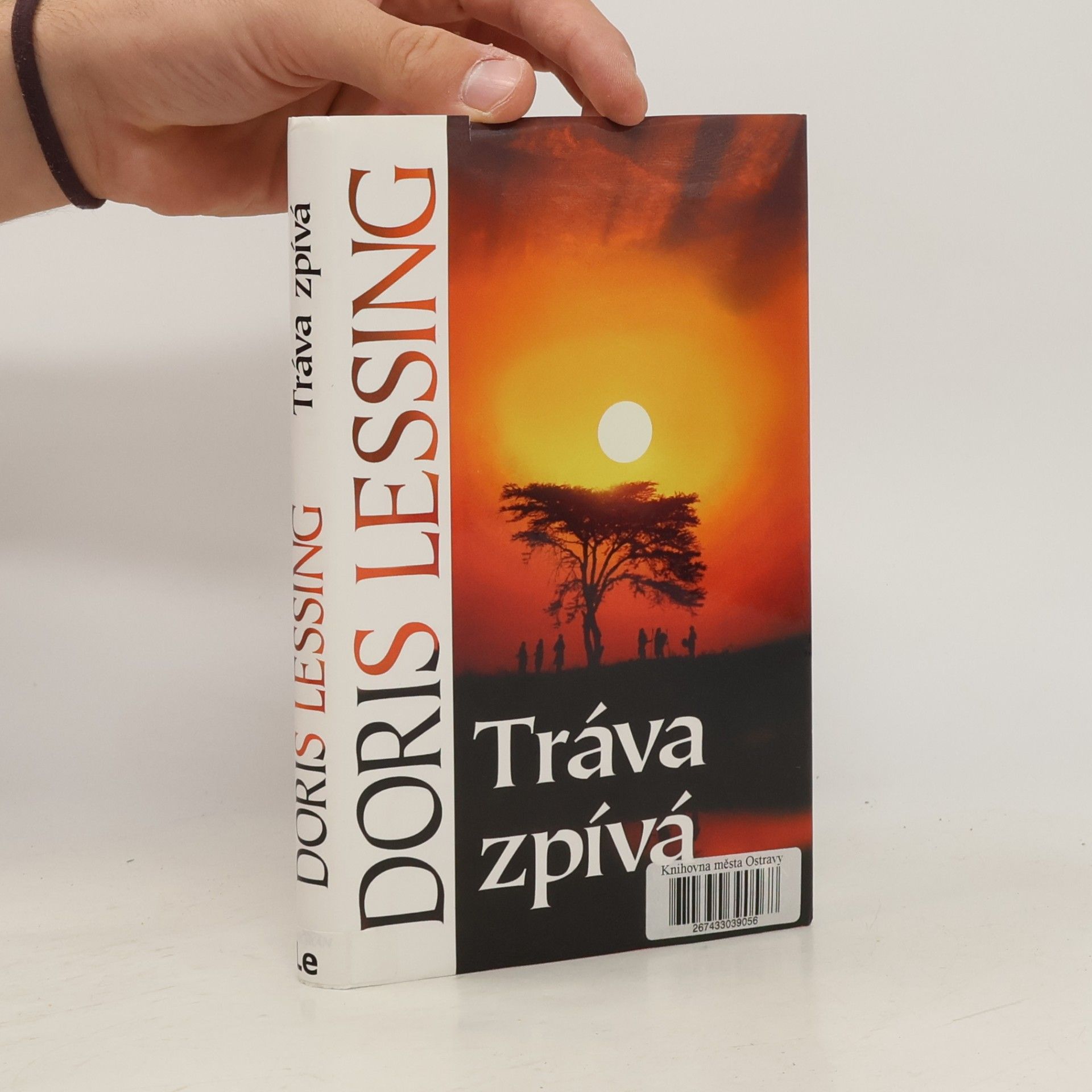 Doris Lessing Tráva zpívá