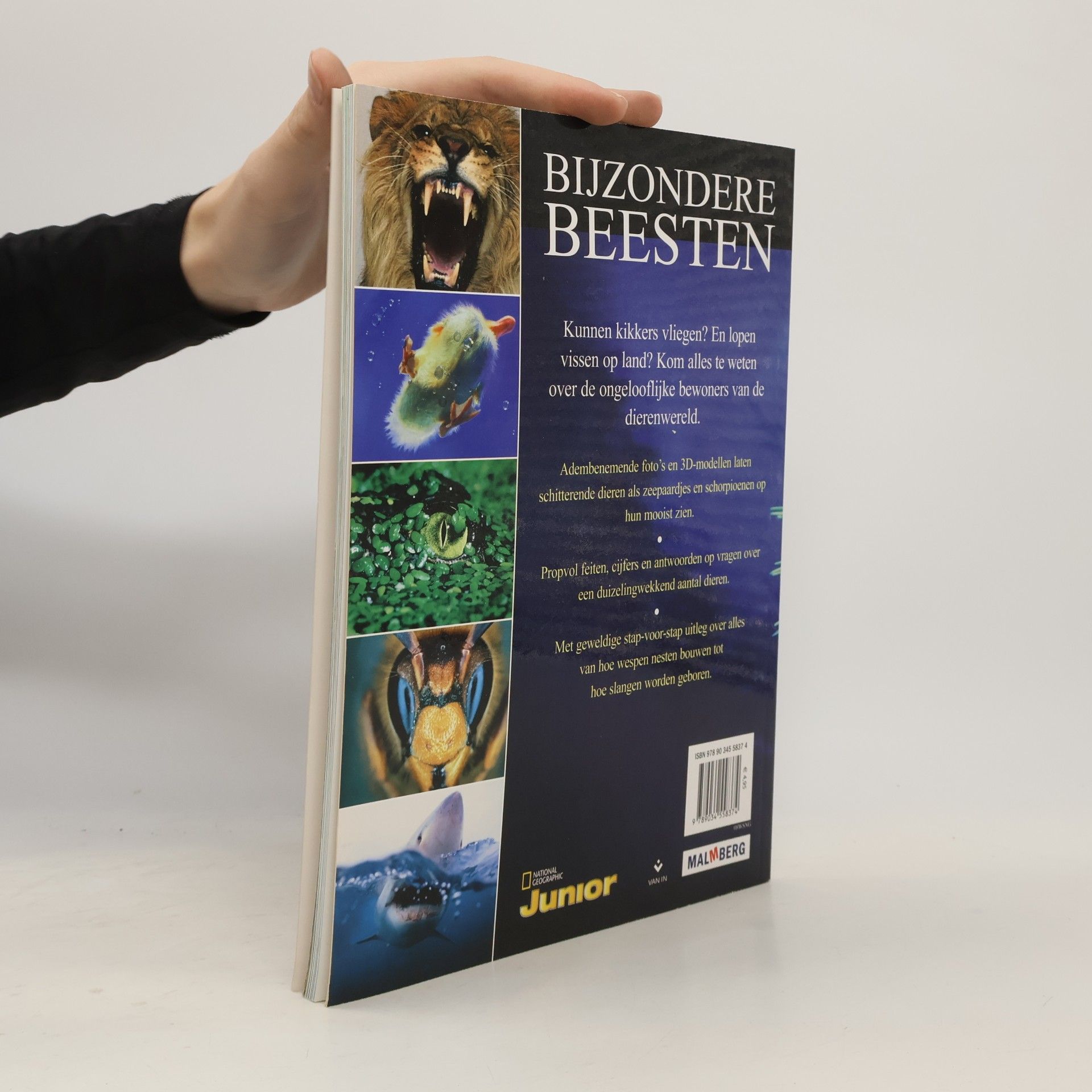 Jacqui Bailey National Geographic Junior: Bijzondere Beesten