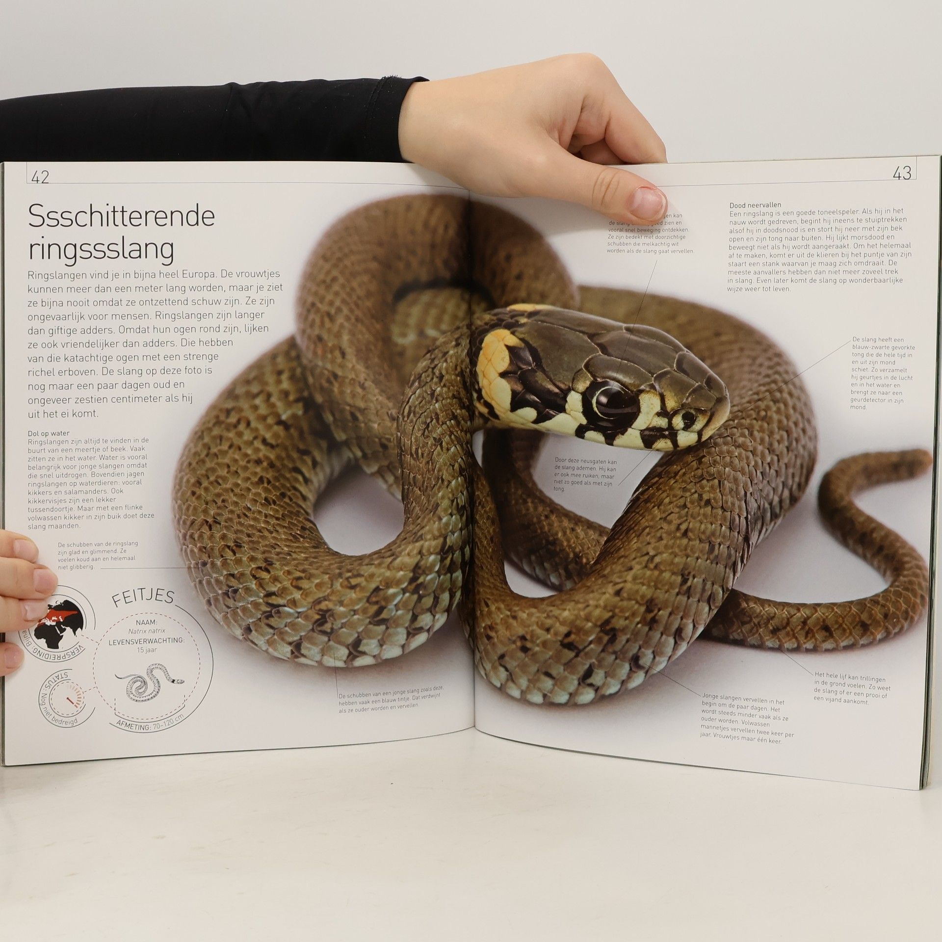Igor Siwanowicz National Geographic Junior: Dieren van heel dichtbij