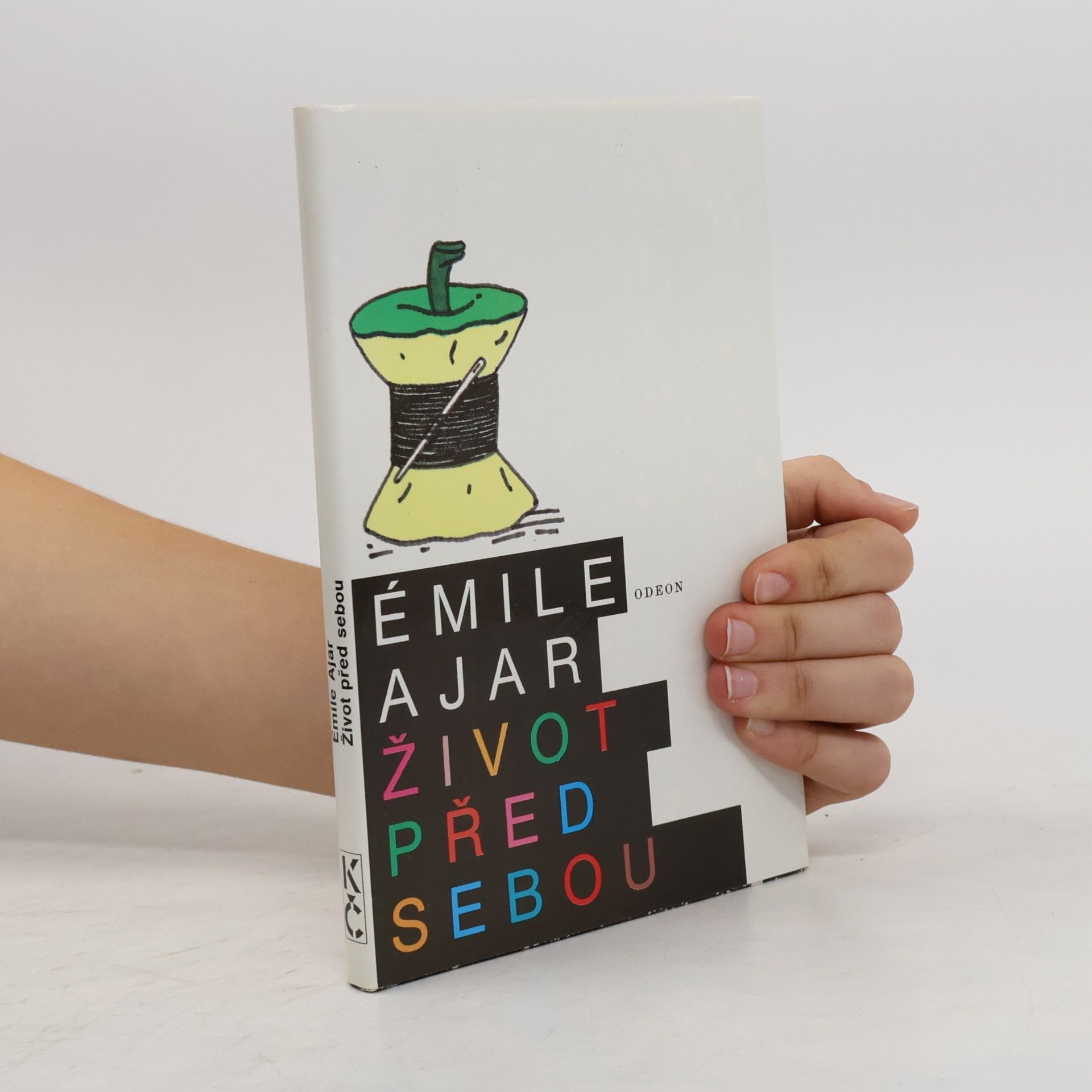Romain Gary Život před sebou