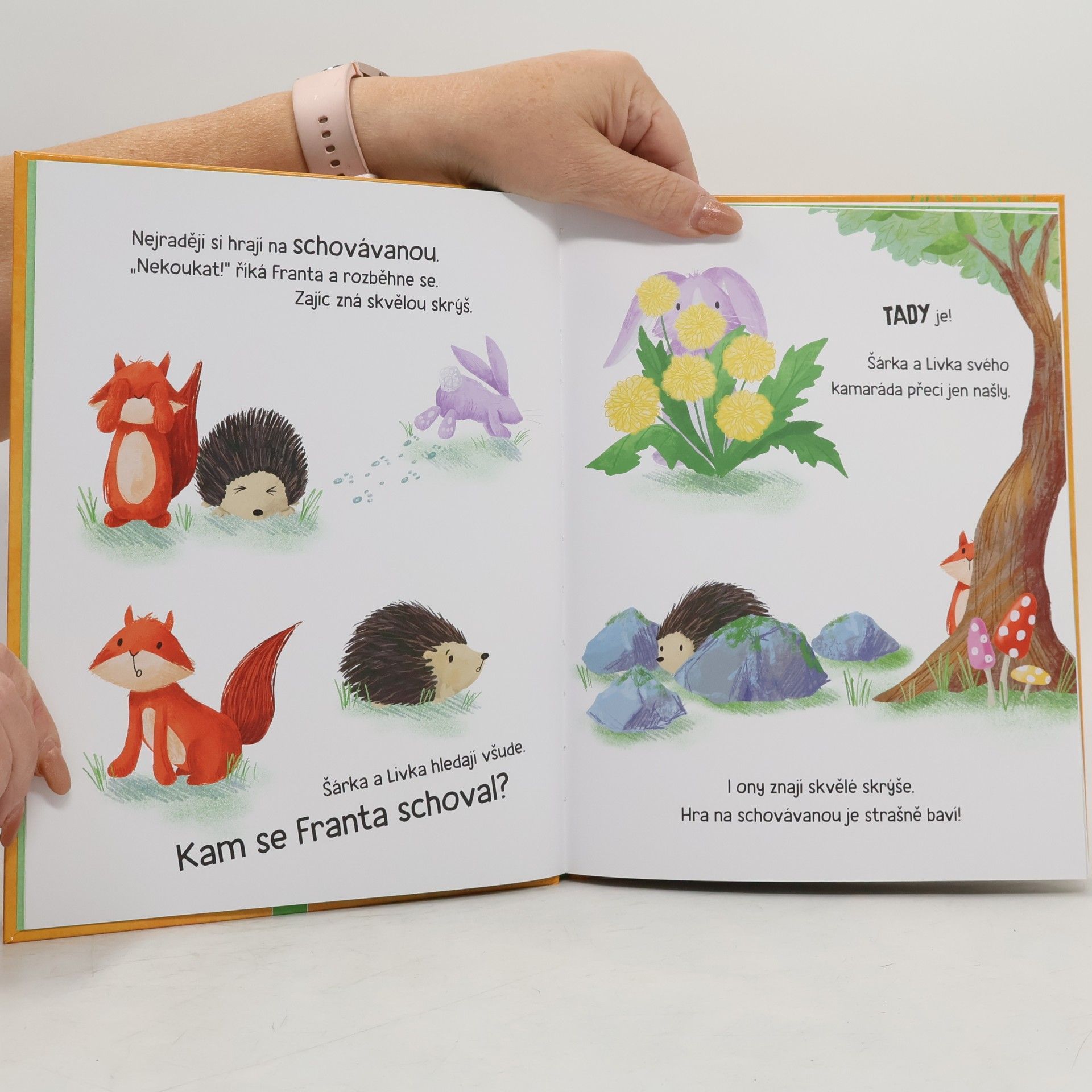 Autorenkollektiv Jsme všichni stejní?