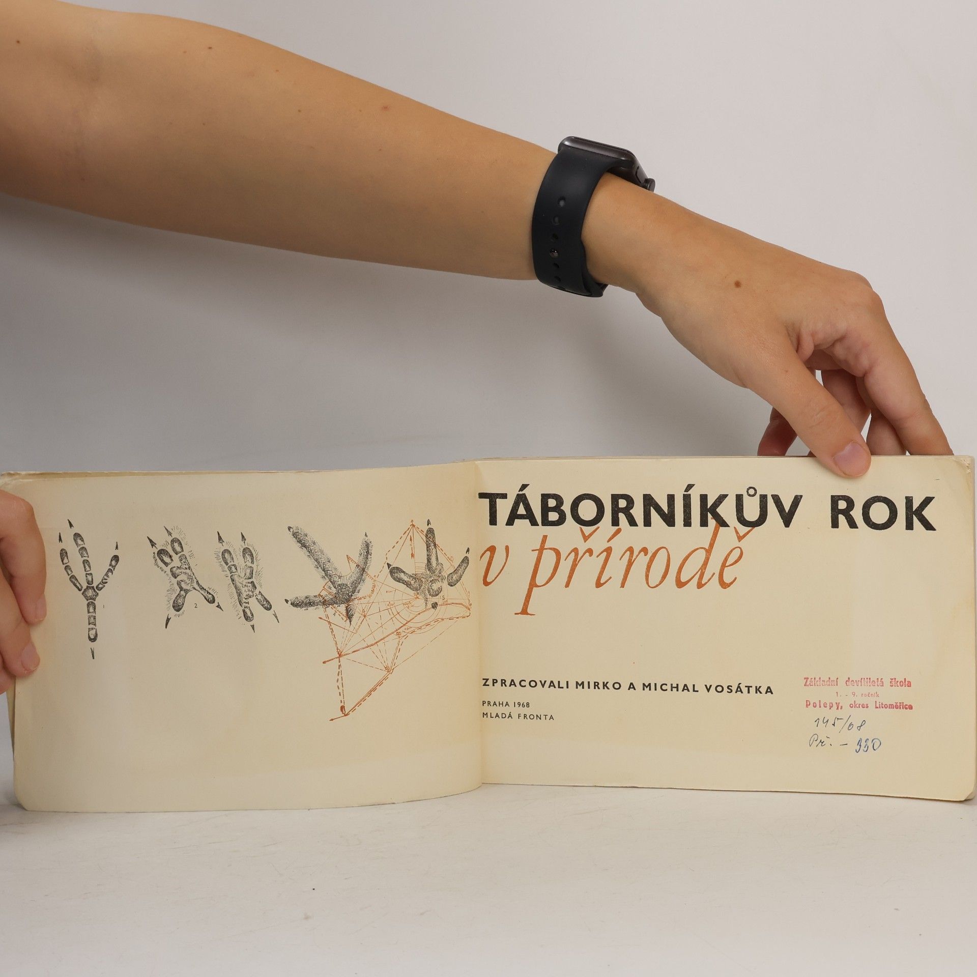 Mirko Vosátka Táborníkův rok v přírodě