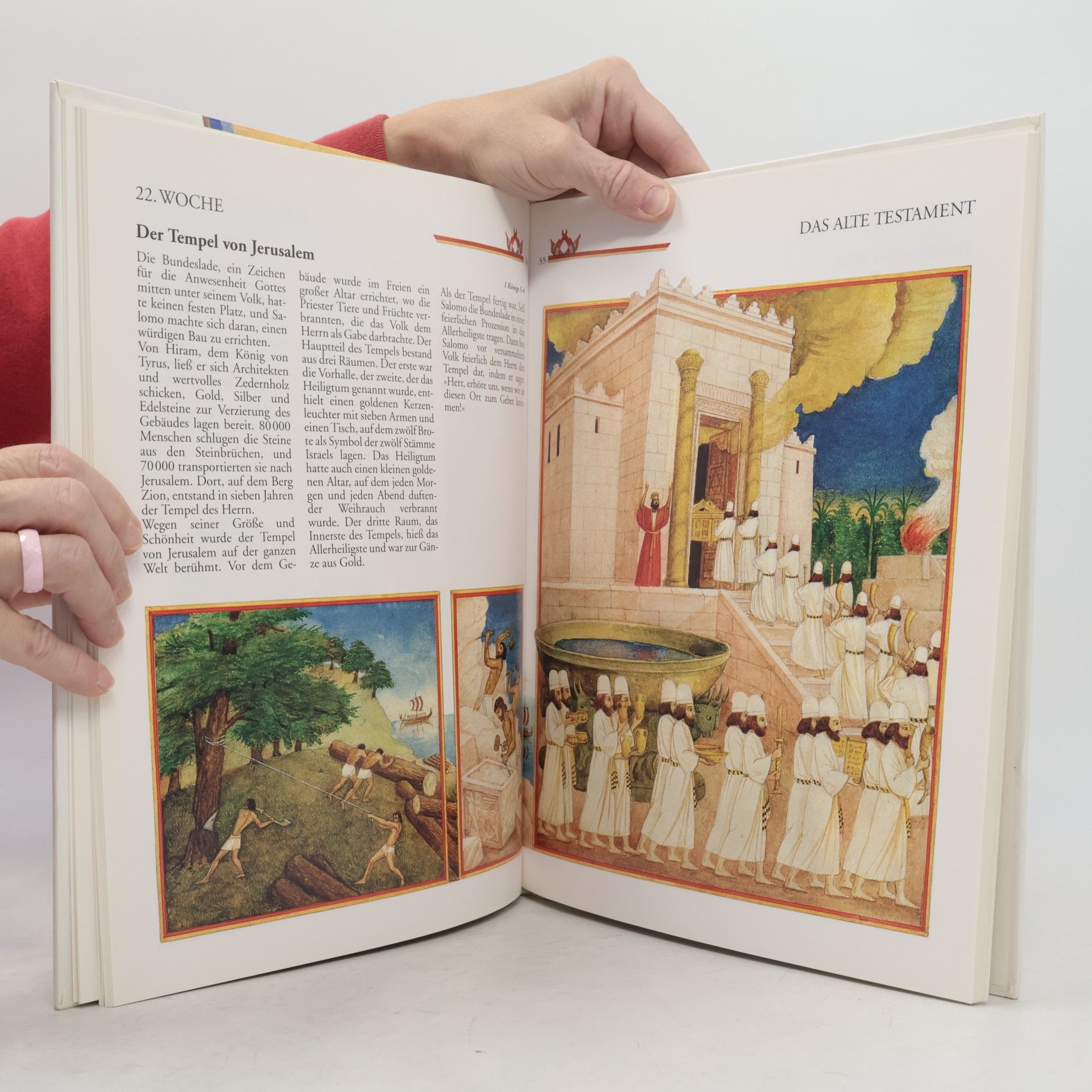 Various authors Die Heilige Bibel