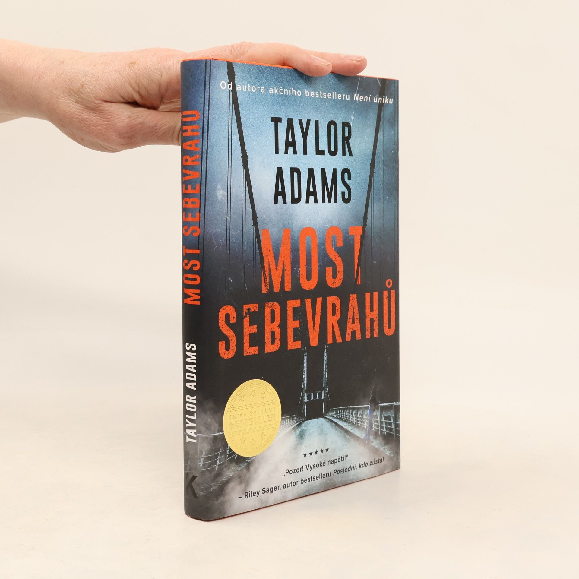 Taylor Adams Most sebevrahů