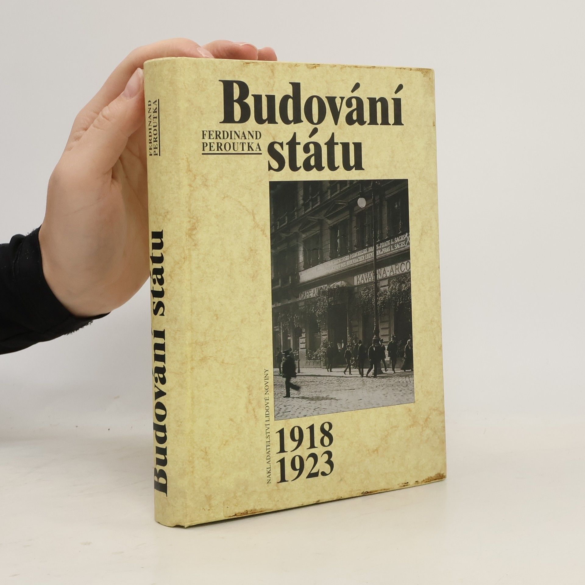 Budování státu : výbor 1918-1923