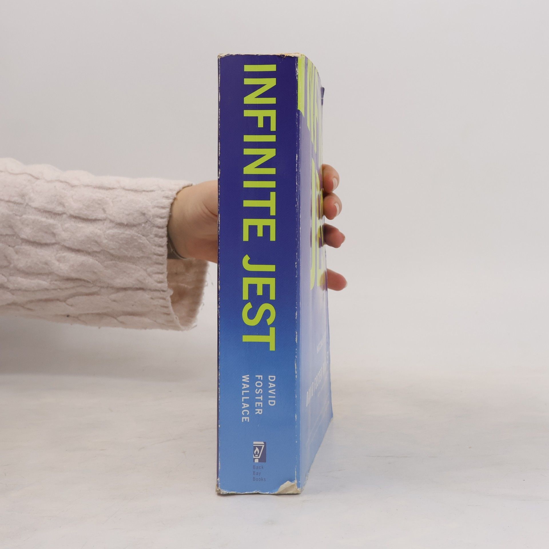 David Foster Wallace Infinite jest : a novel