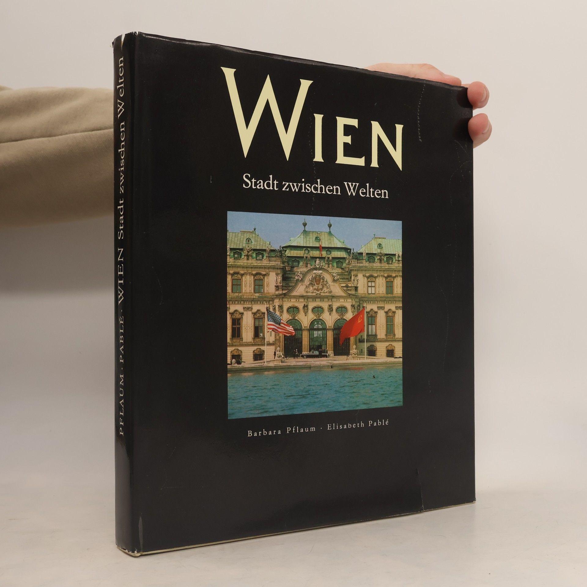 Barbara Pflaum Wien. Stadt zwischen Welten