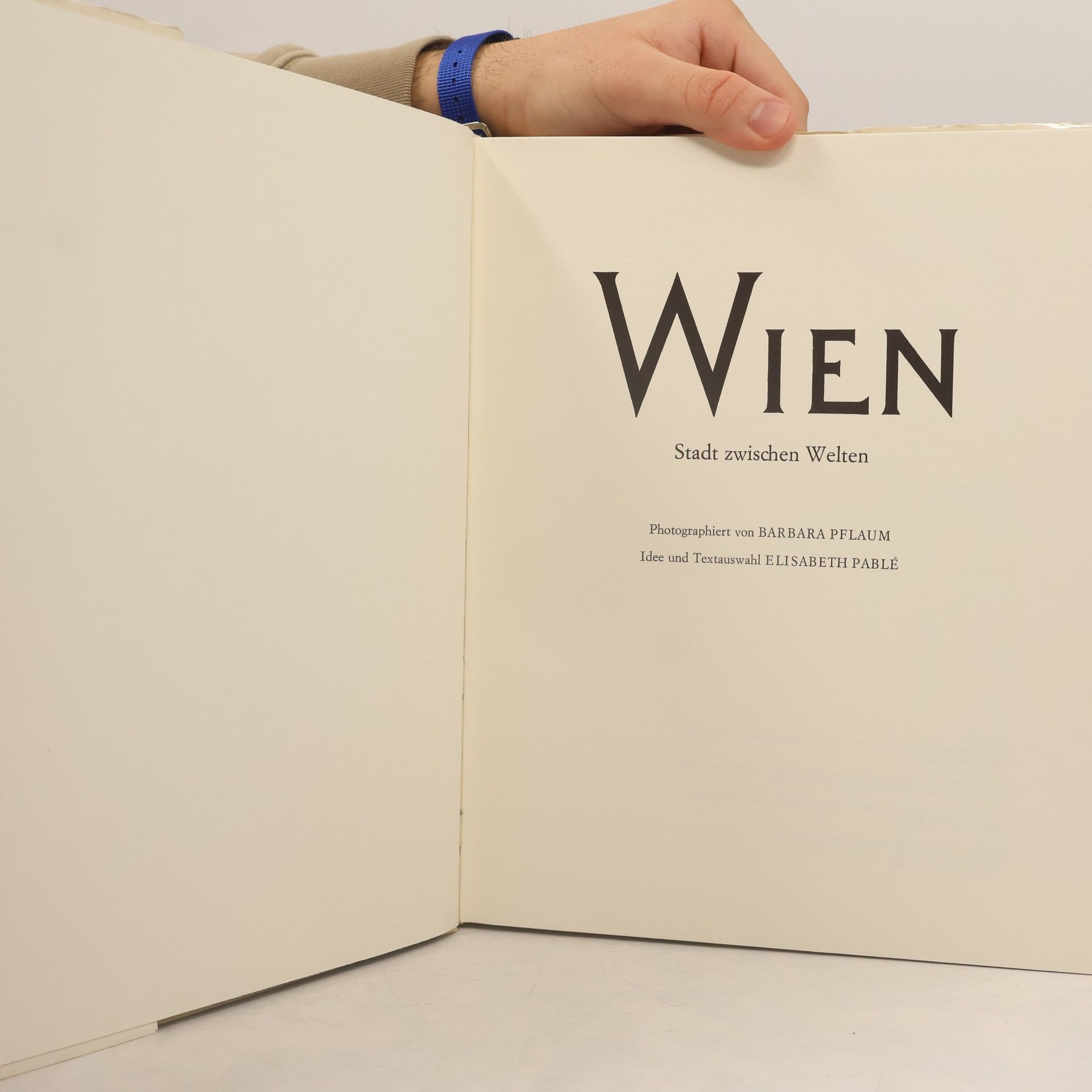 Barbara Pflaum Wien. Stadt zwischen Welten