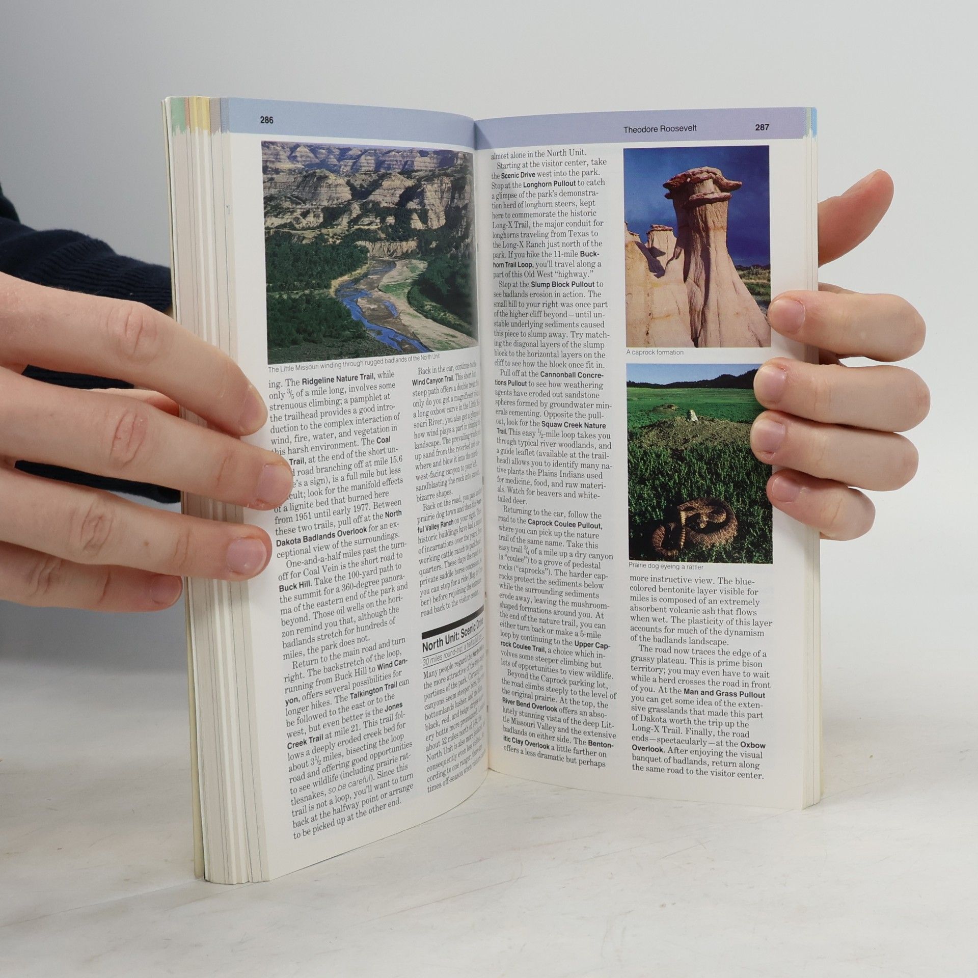 Auteurscollectief National Geographic's guide to the national parks of the United States