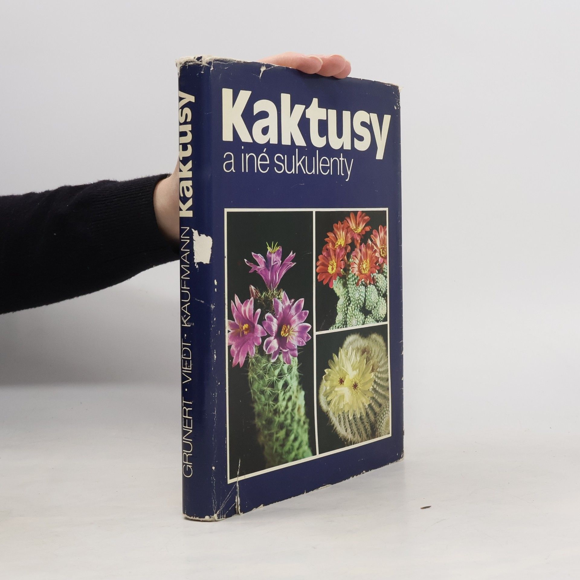 Hans-Günther Kaufmann Kaktusy a iné sukulenty