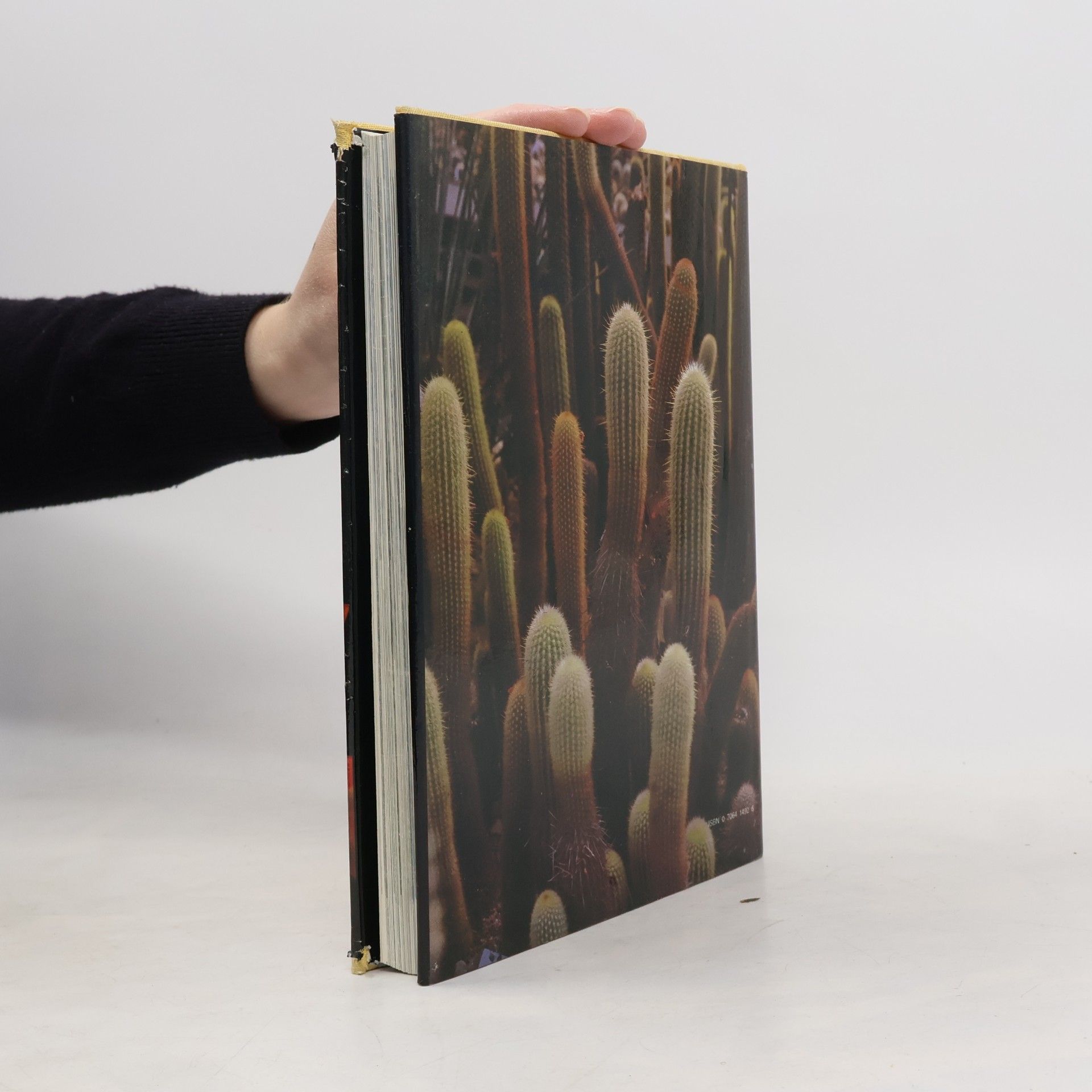 J. Mašek The Illustrated Encyclopedia of Cacti & Other Succulents