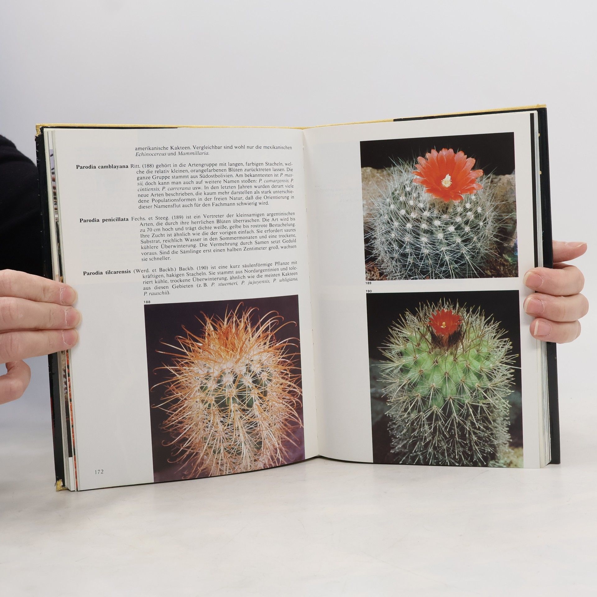J. Mašek The Illustrated Encyclopedia of Cacti & Other Succulents