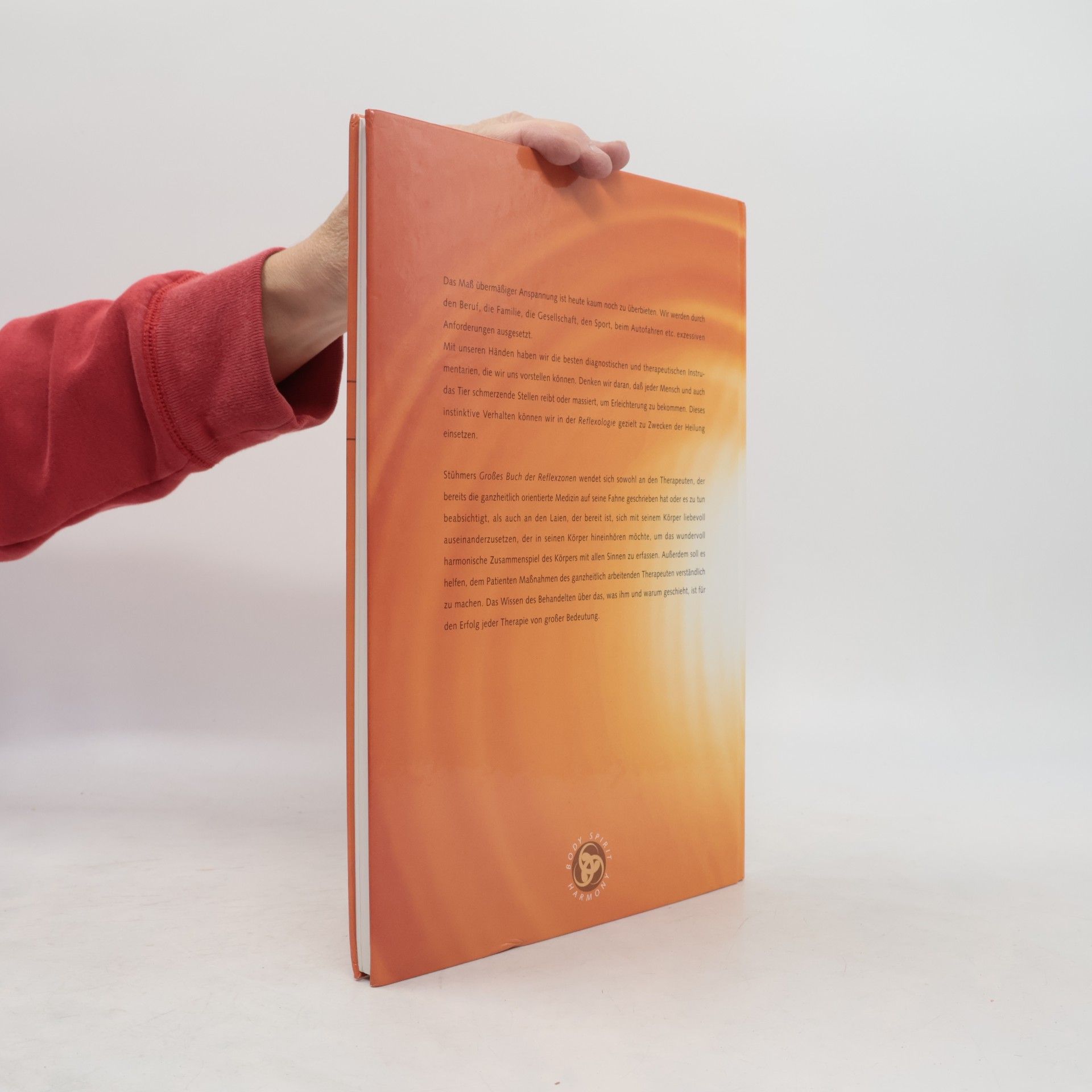Rolf Stühmer Das große Buch der Reflexzonen