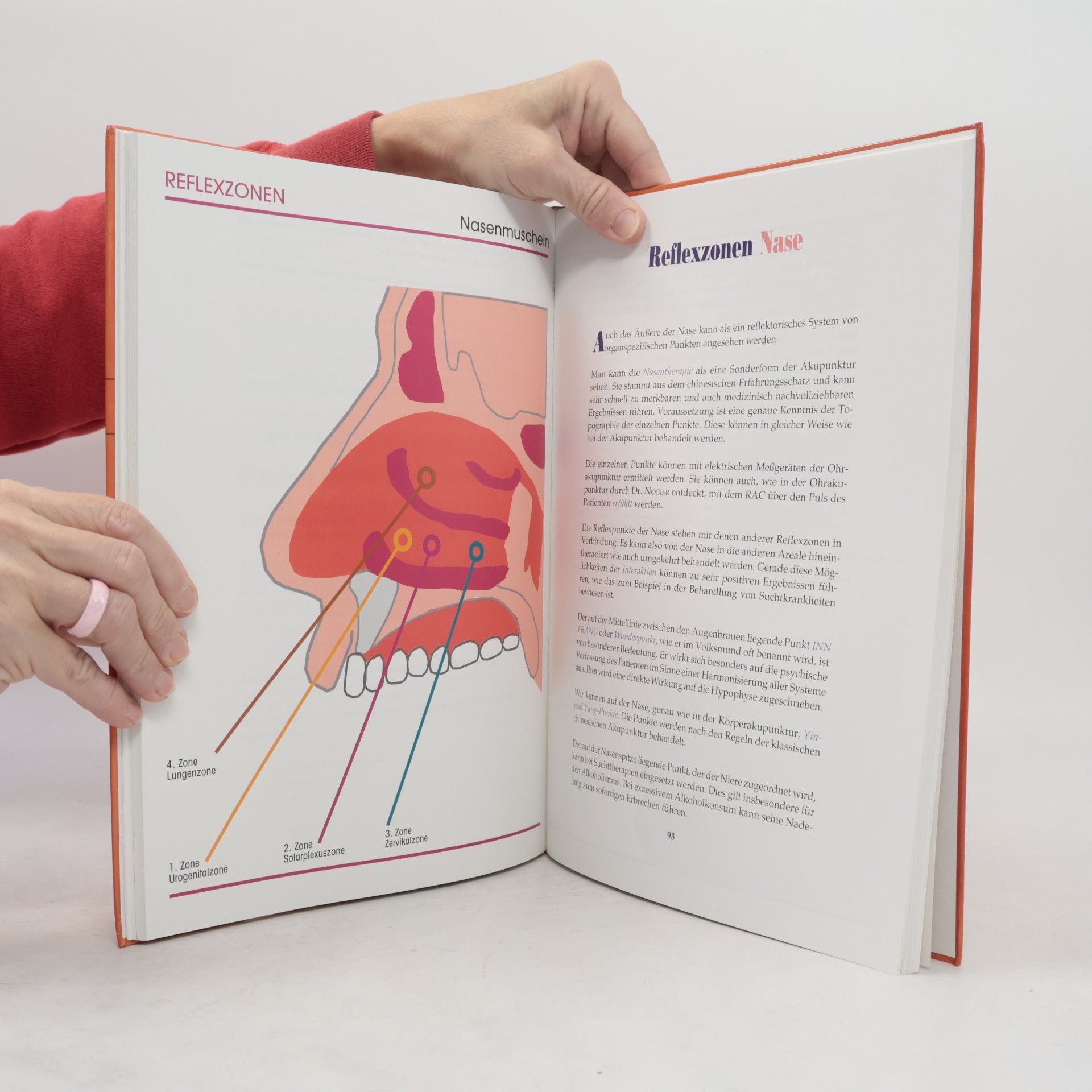 Rolf Stühmer Das große Buch der Reflexzonen