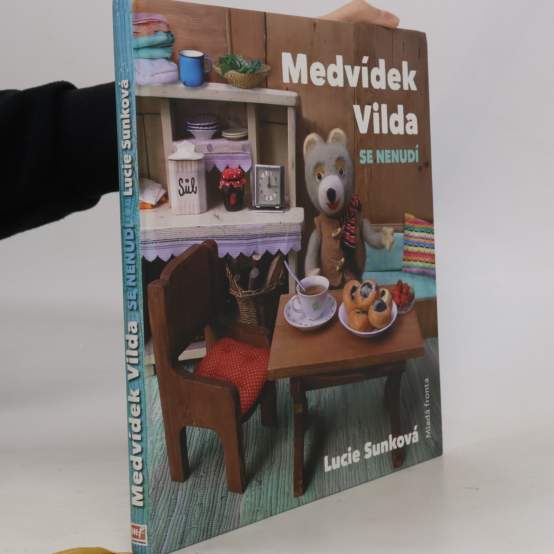 Lucie Sunková Medvídek Vilda se nenudí