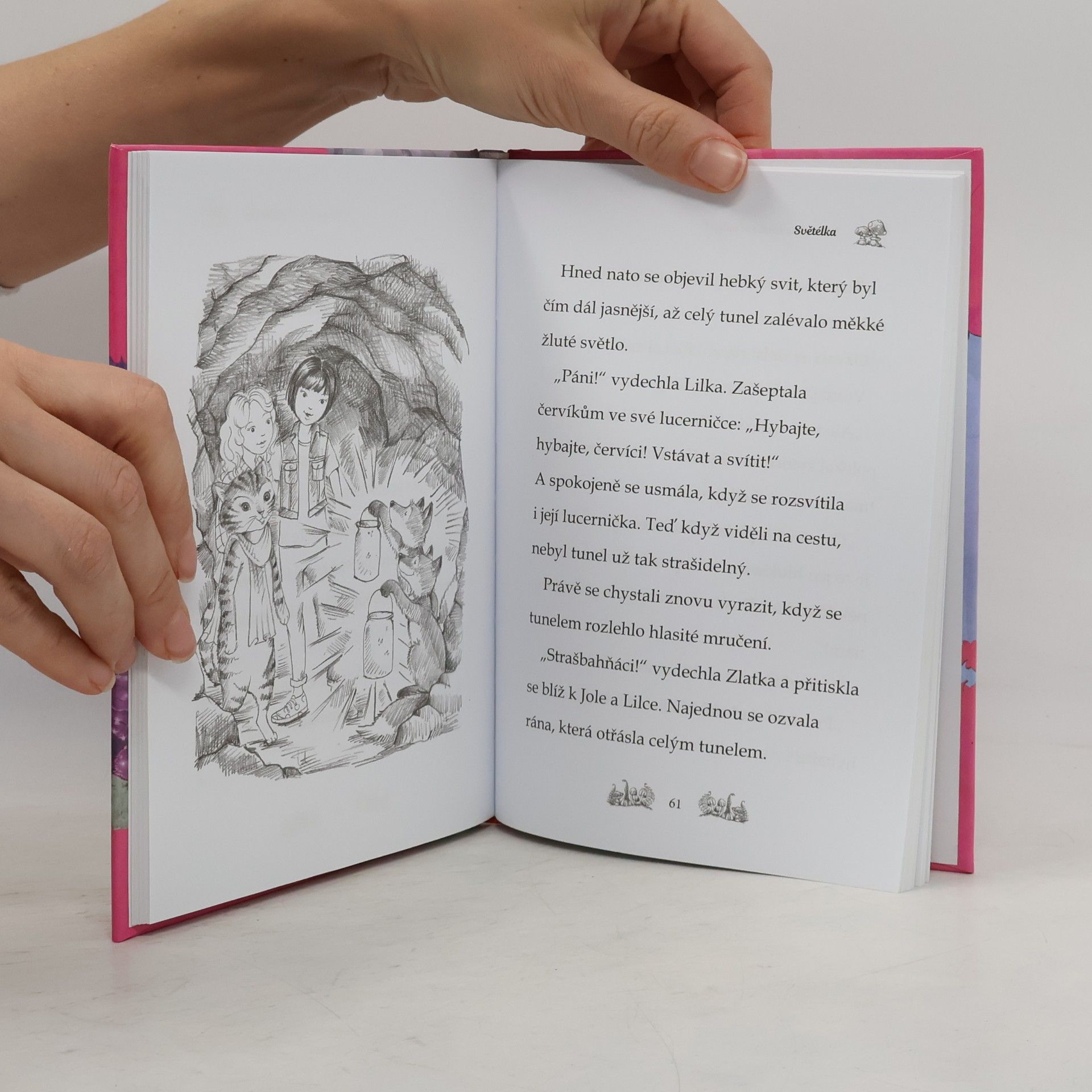 Daisy Meadows Kamarádky kouzelných zvířátek. Bella Mourková má potíže!