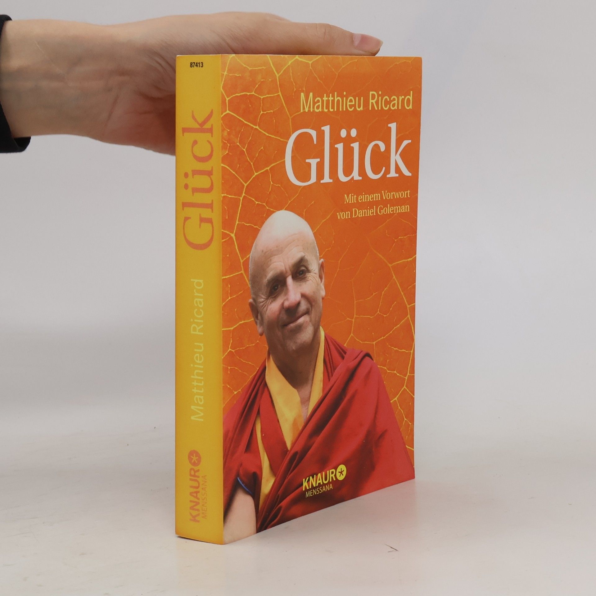 Matthieu Ricard Glück