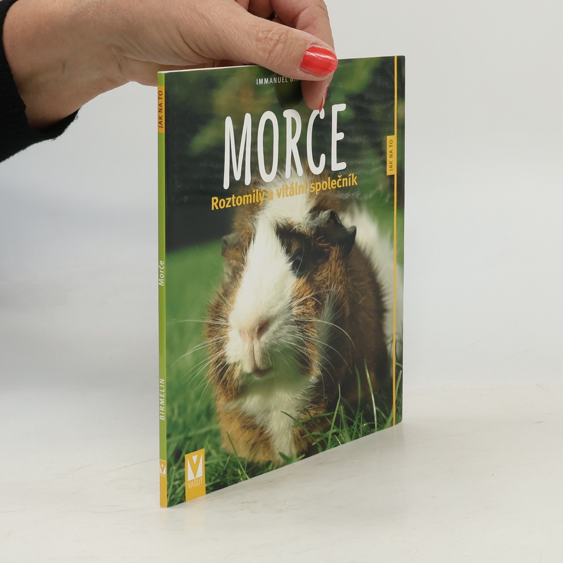 Immanuel Birmelin Morče. Roztomilý a vitální společník