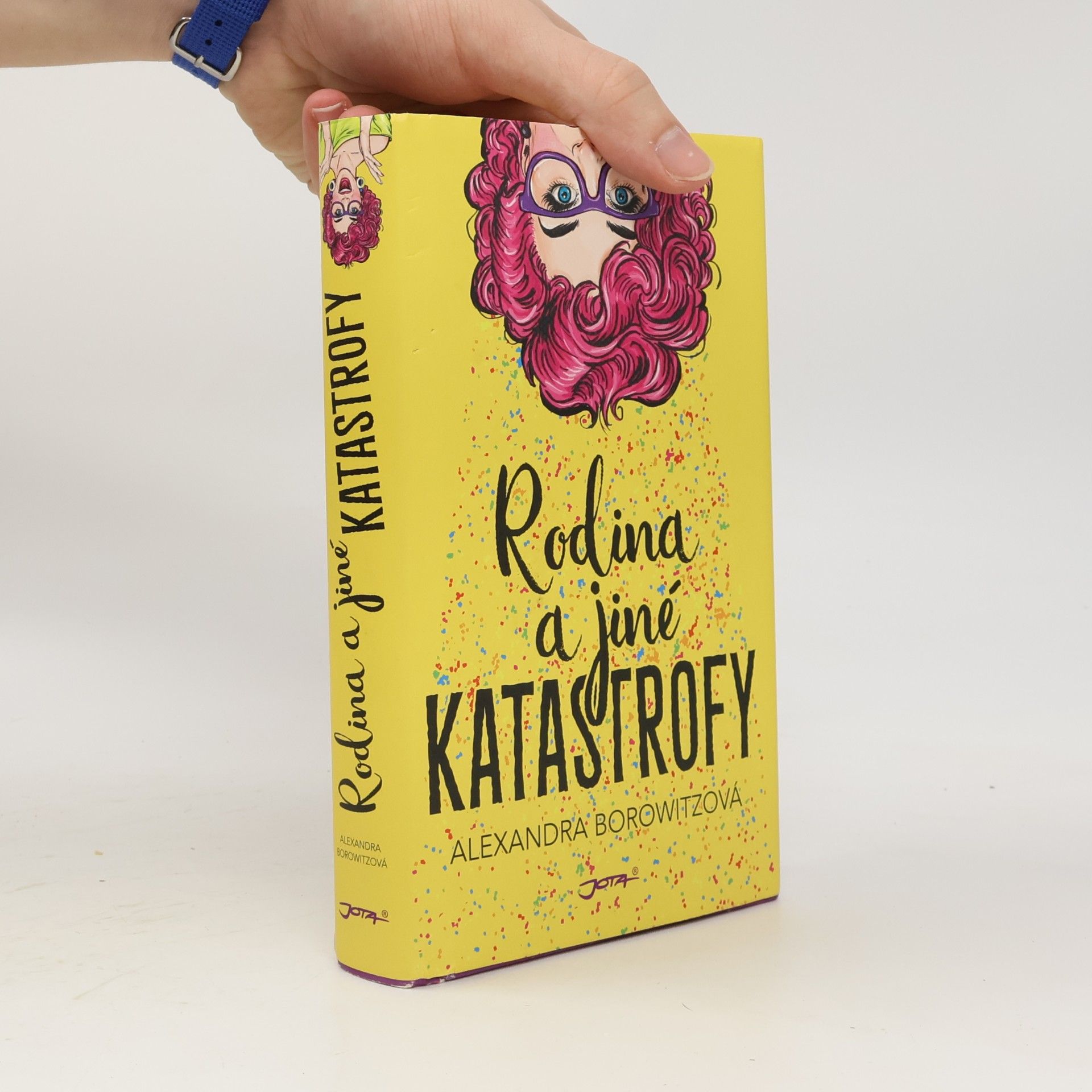Rodina a jiné katastrofy