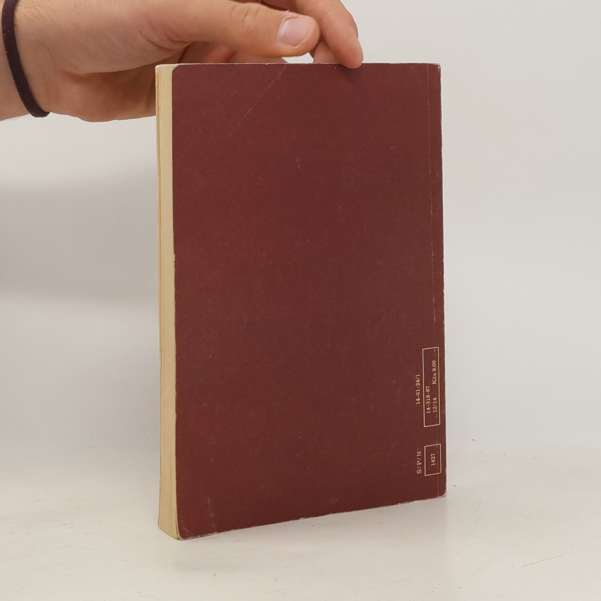Vítězslav Rzounek Literatura pro IV. ročník středních škol