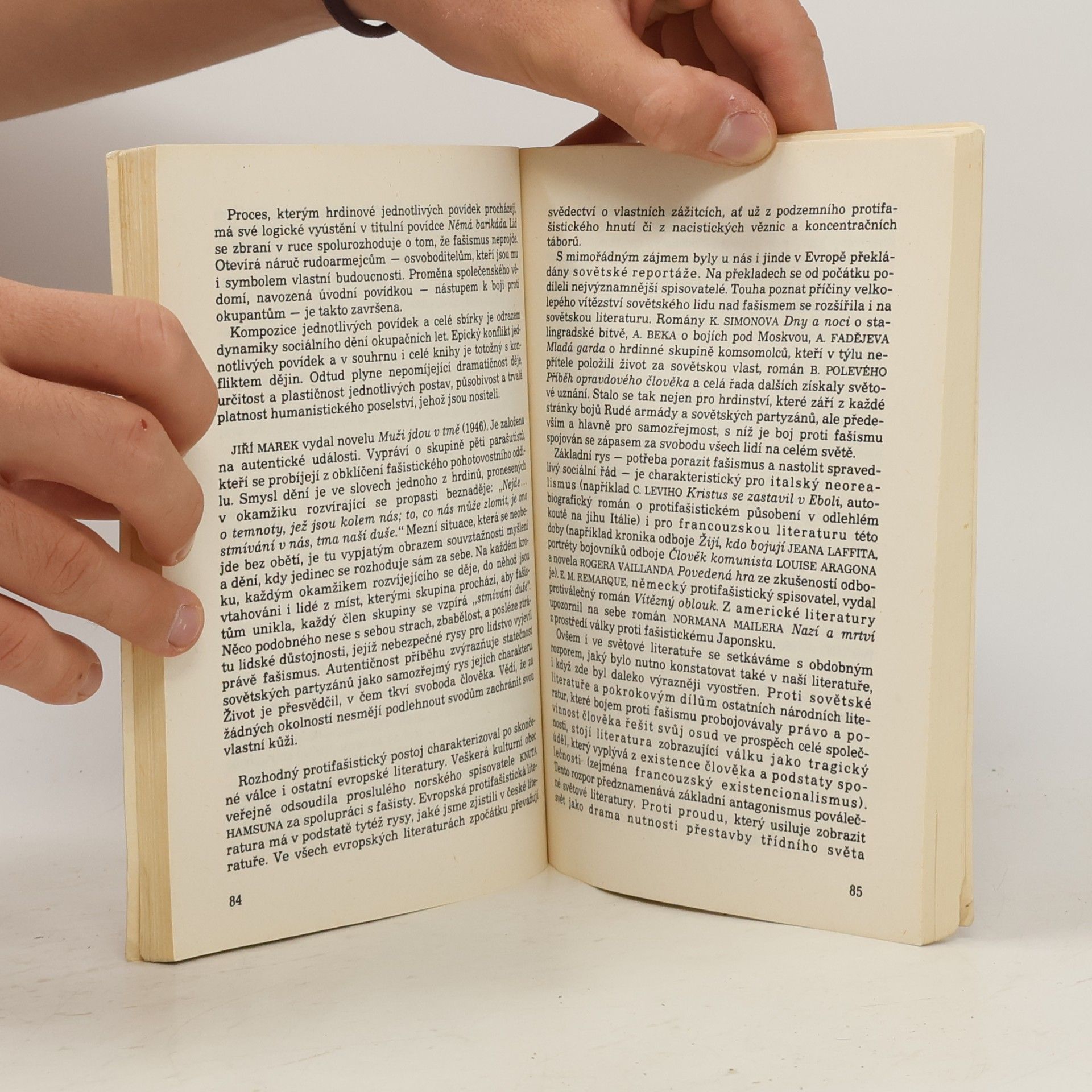 Vítězslav Rzounek Literatura pro IV. ročník středních škol