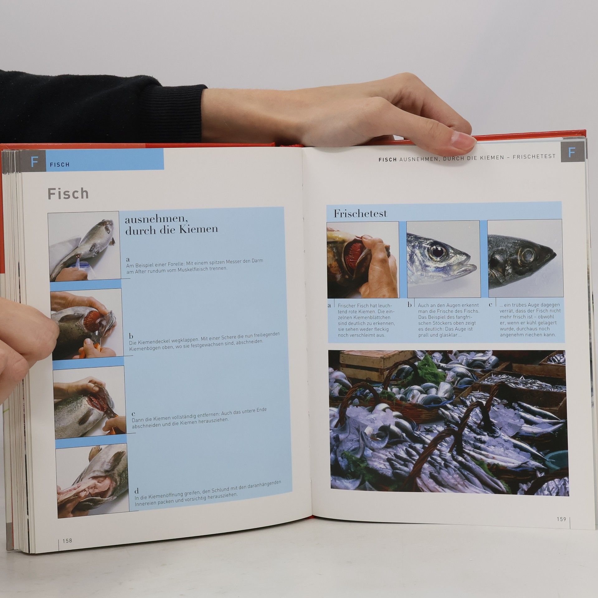 Claudia Lenz Das Teubner-Handbuch Kochen