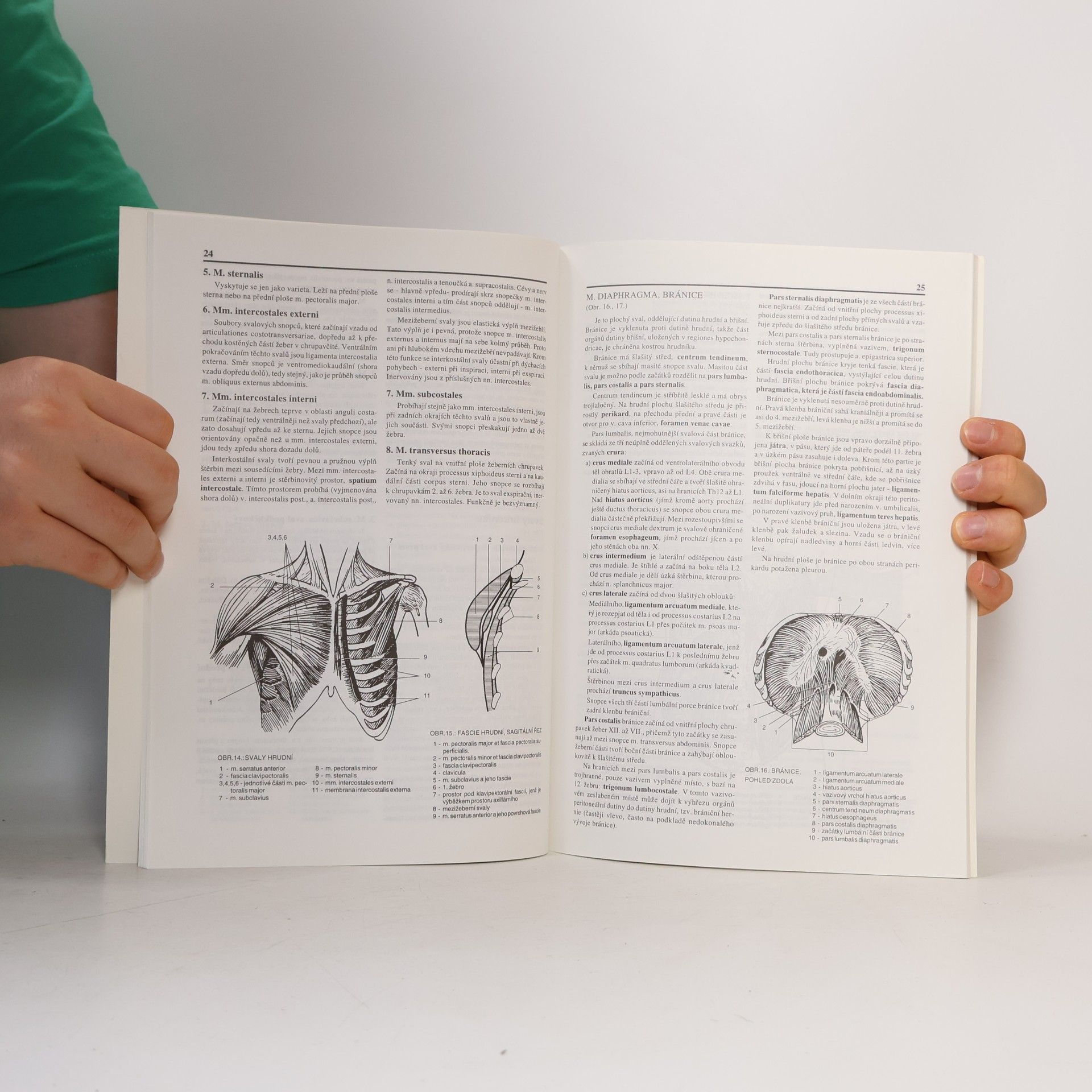 Ladislav Borovanský Anatomie - soustava svalová