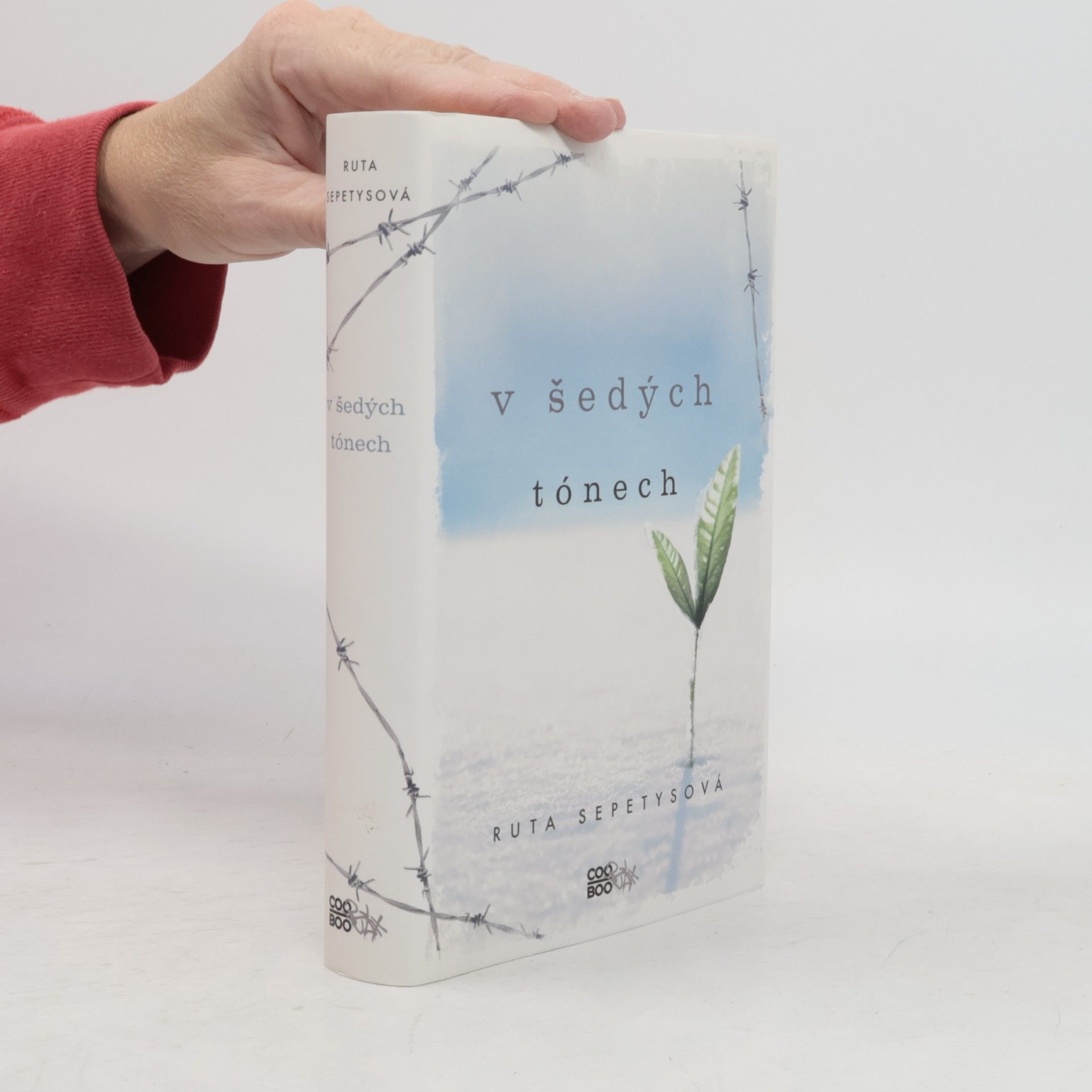 Ruta Sepetys V šedých tónech
