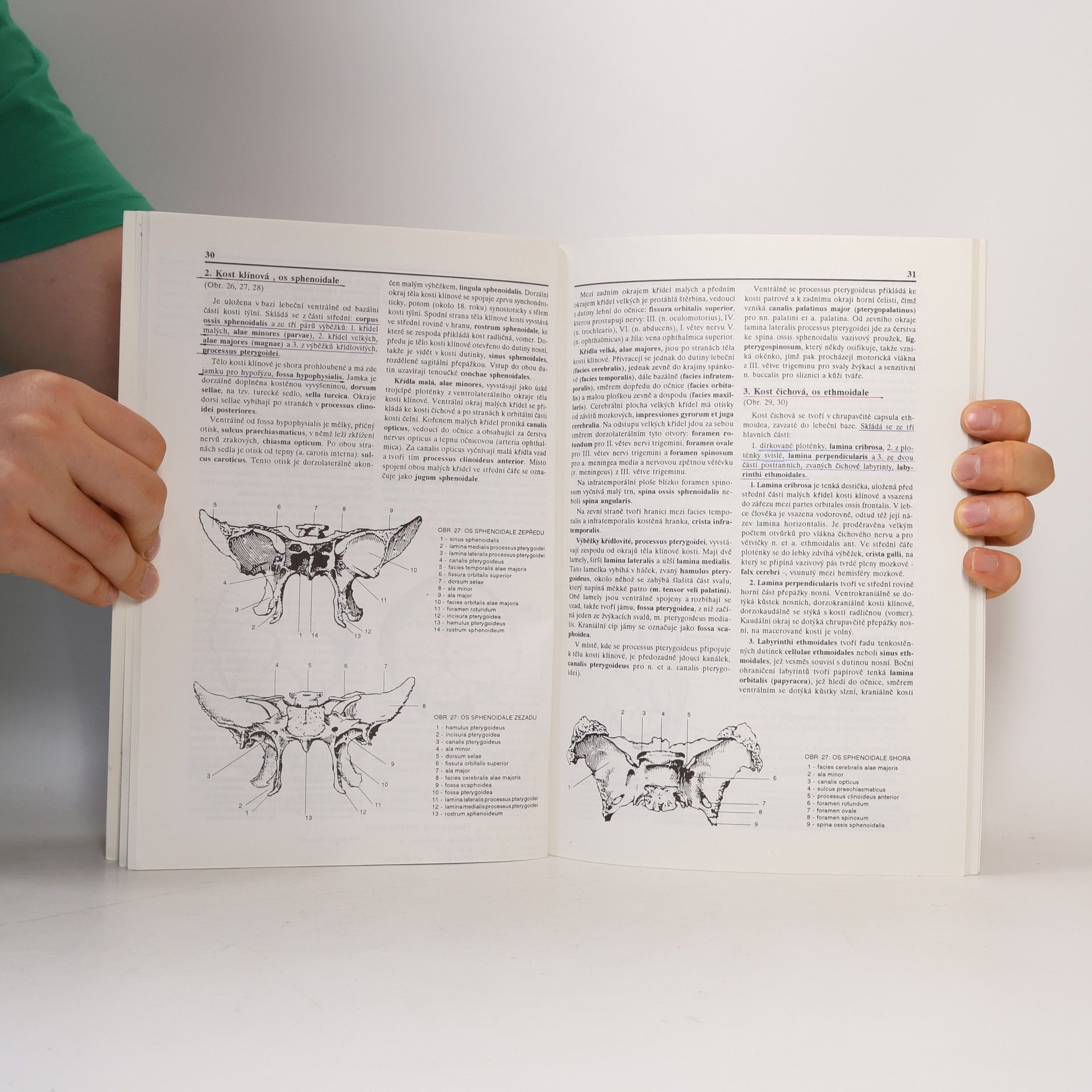 Ladislav Borovanský Anatomie - soustava kosterní