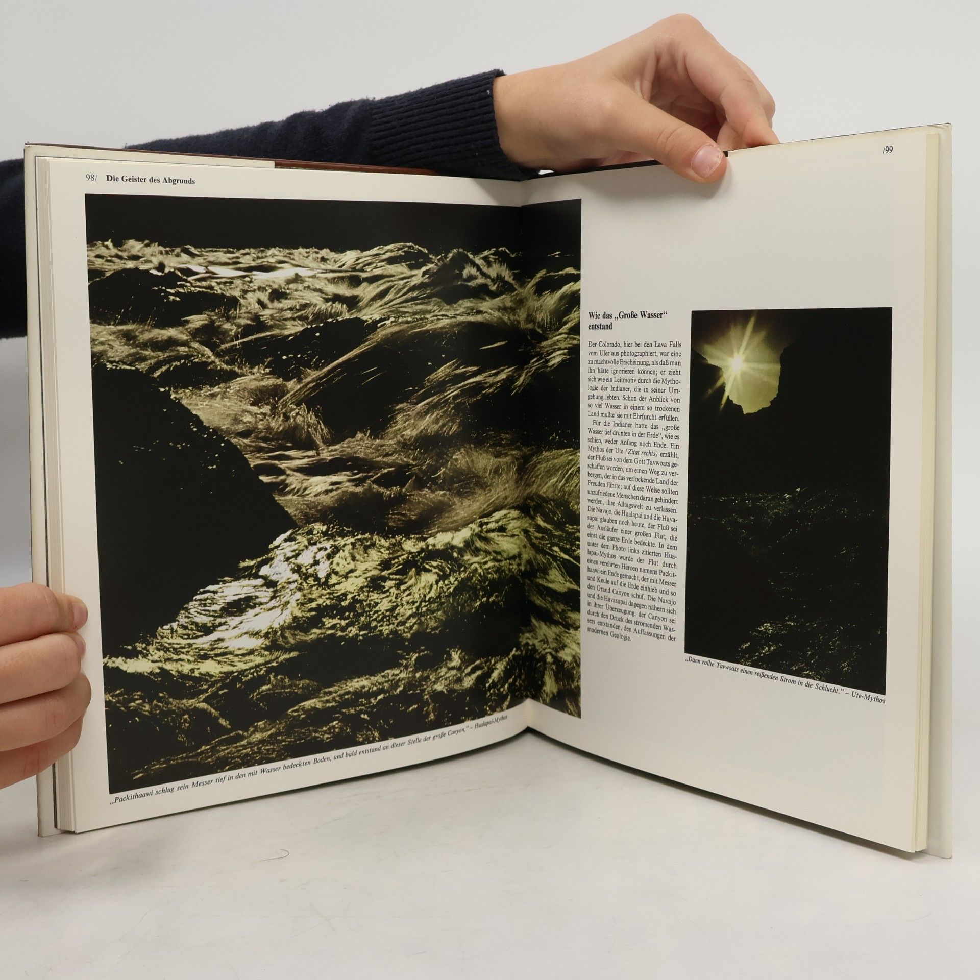 Various authors Der Grand Canyon. Die Wildnisse der Welt