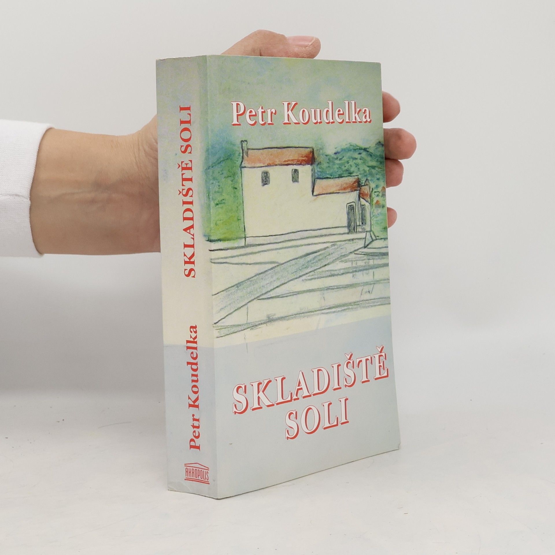 Petr Koudelka Skladiště soli