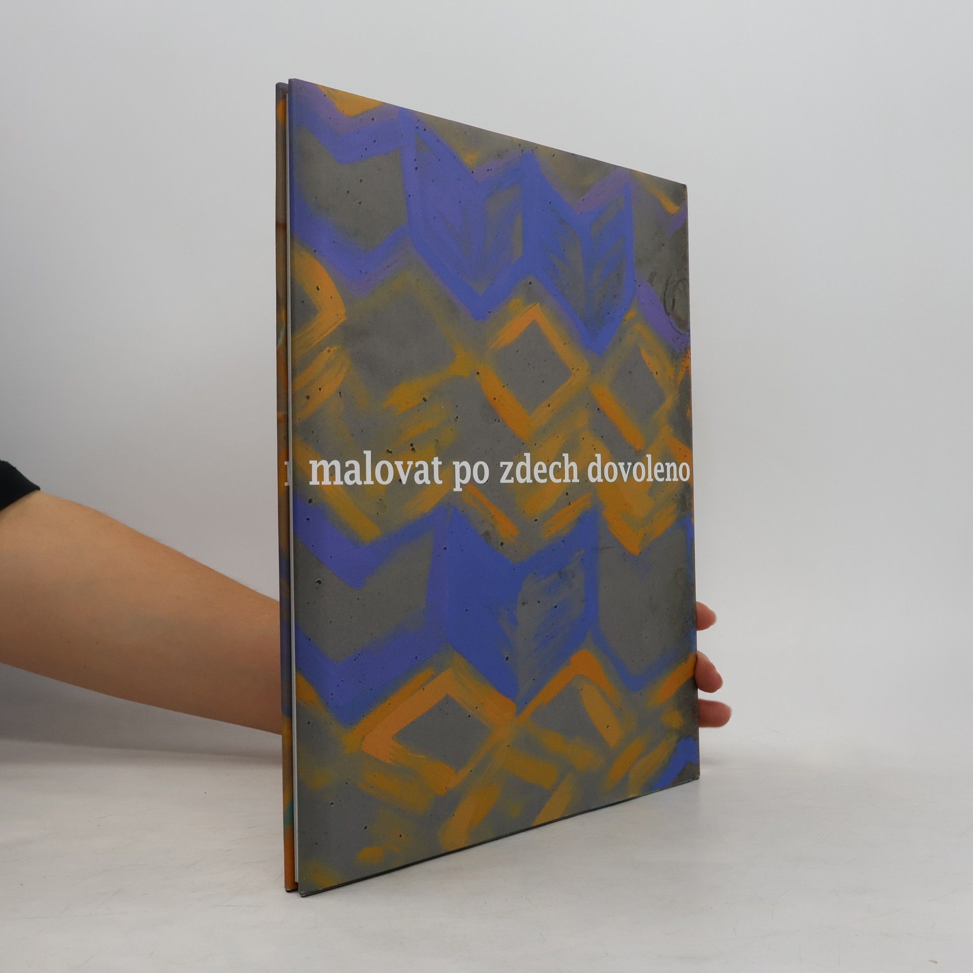 Martina Novotná Malovat po zdech dovoleno : nástěnné malby