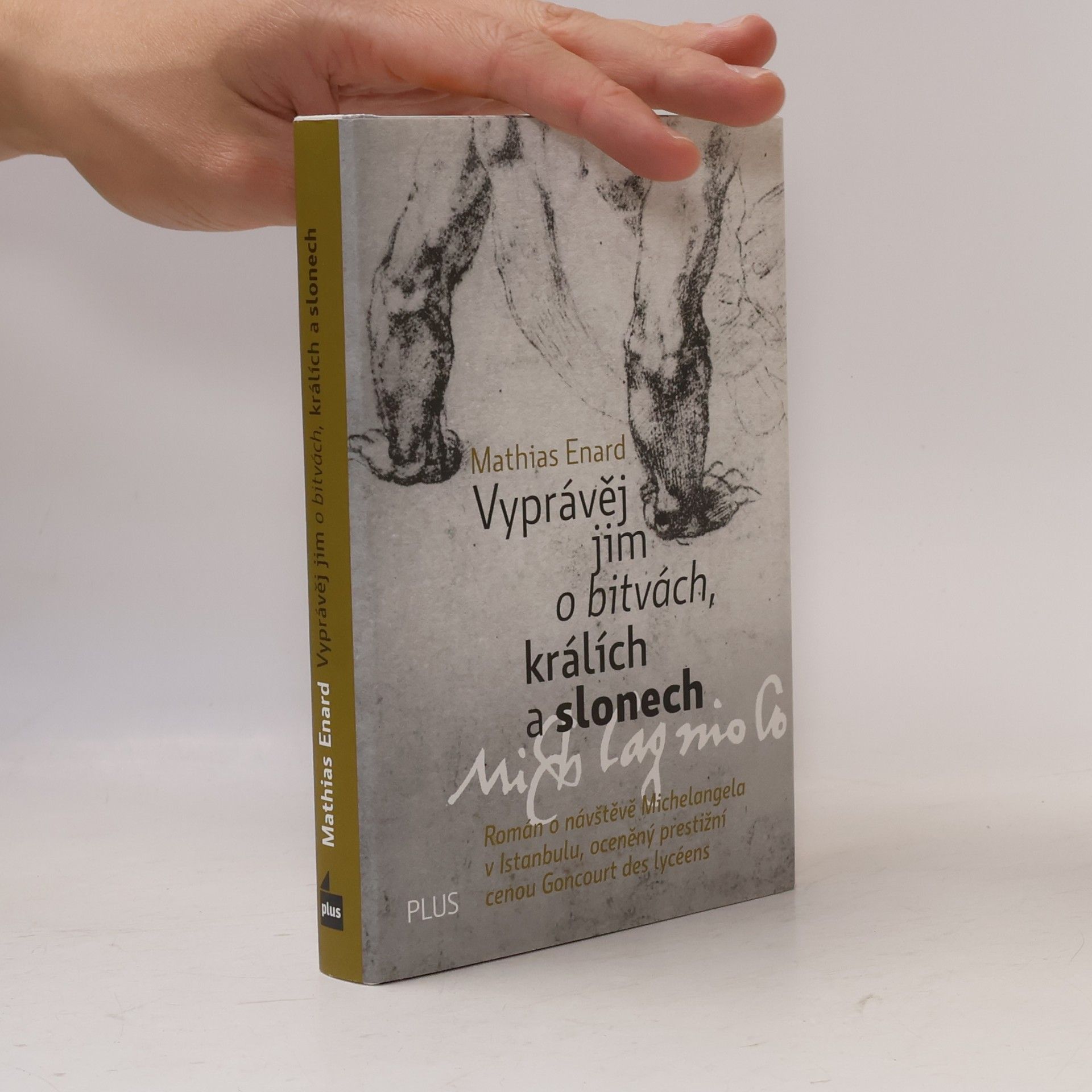 Mathias Énard Vyprávěj jim o bitvách, králích a slonech