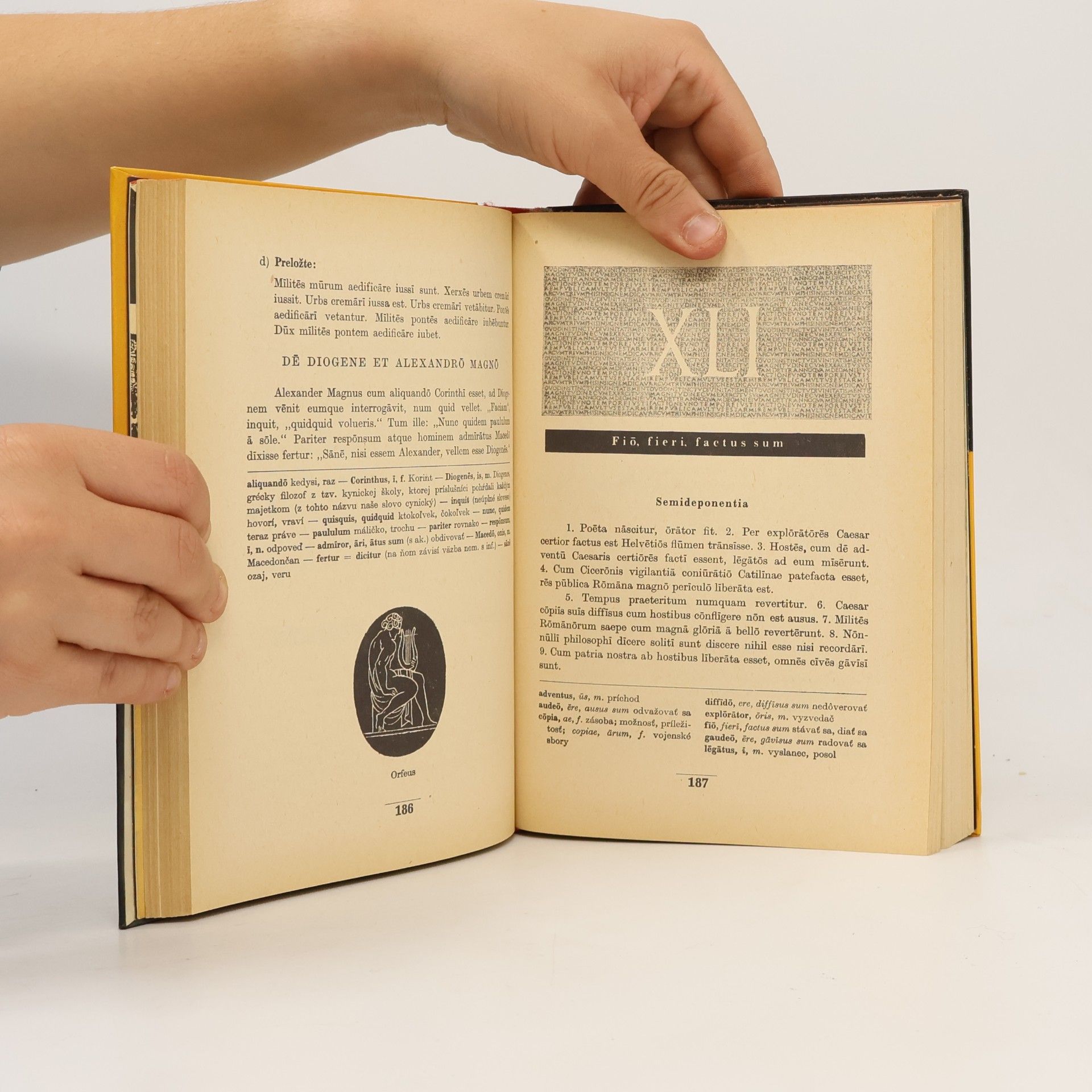 Various authors Latinčina. Lingua Latina