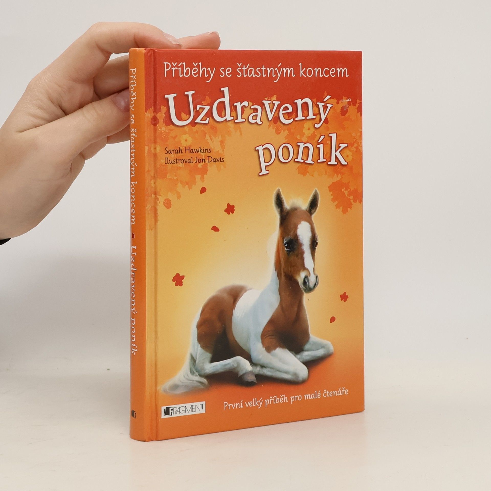 Sarah Hawkins Uzdravený poník