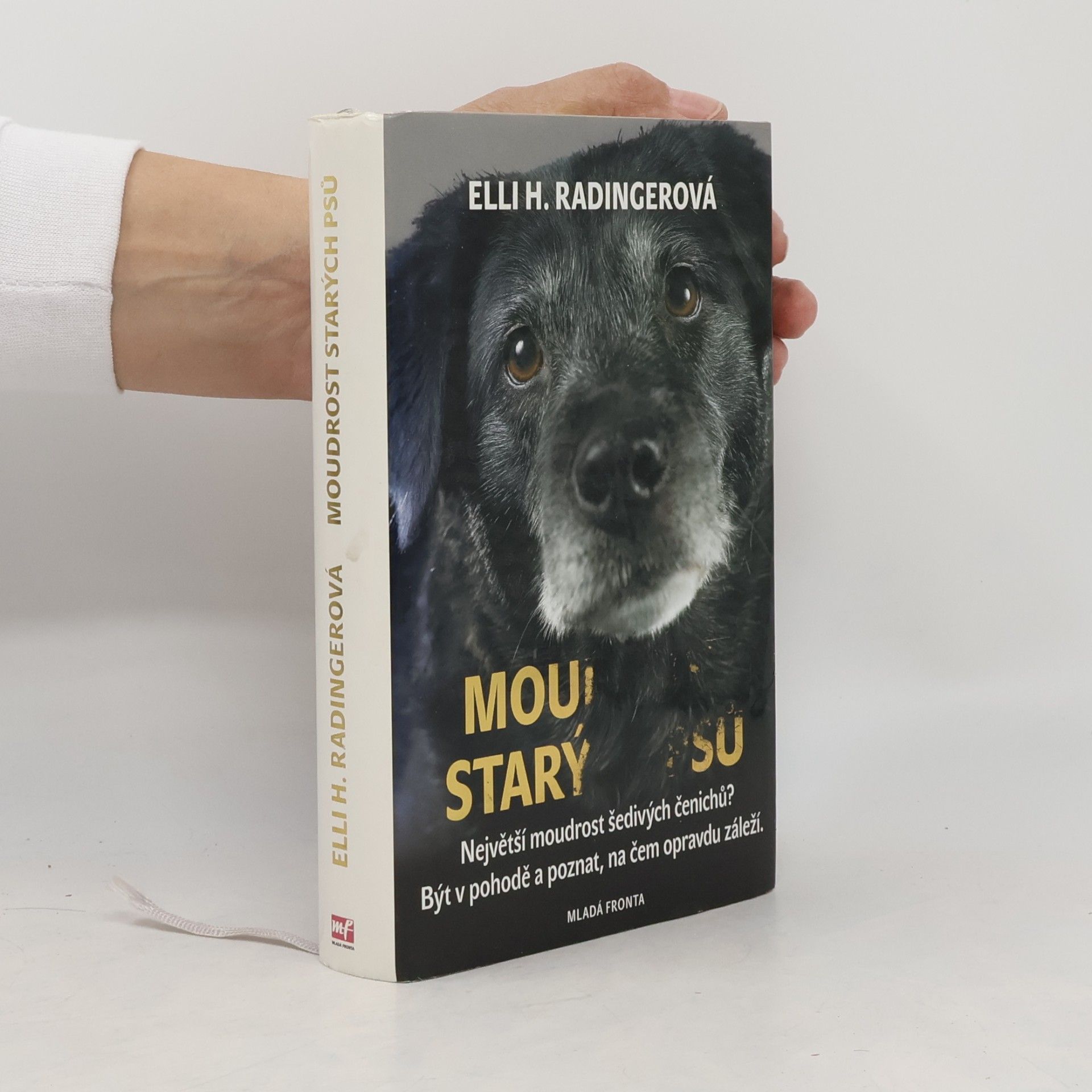 Moudrost starých psů