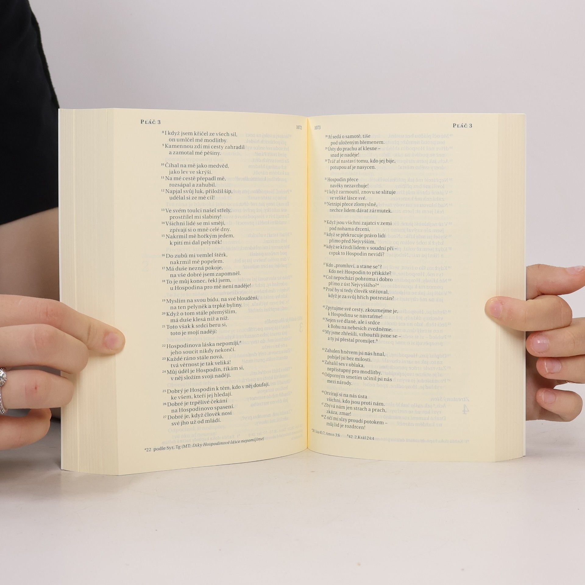 Various authors Bible : překlad 21. století