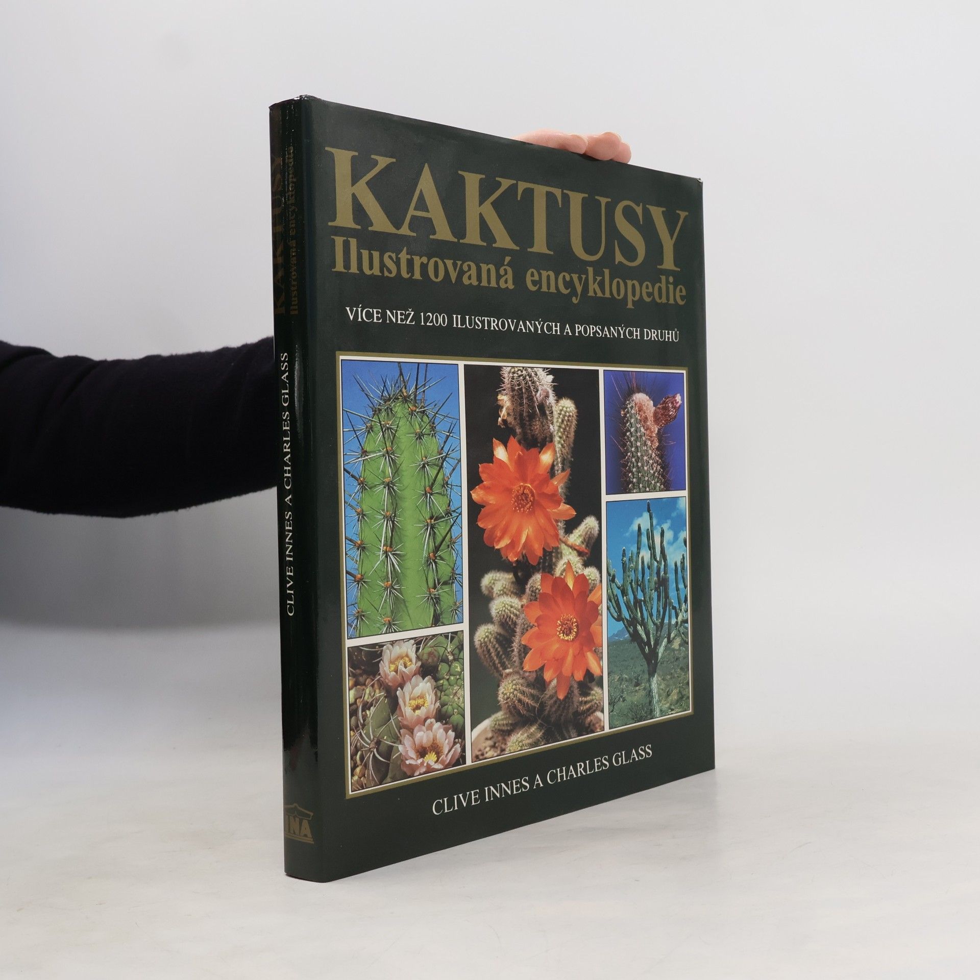 Clive Innes Kaktusy