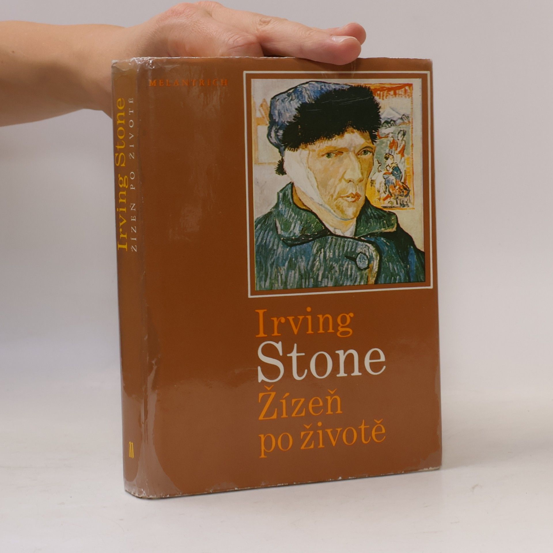 Irving Stone Žízeň po životě