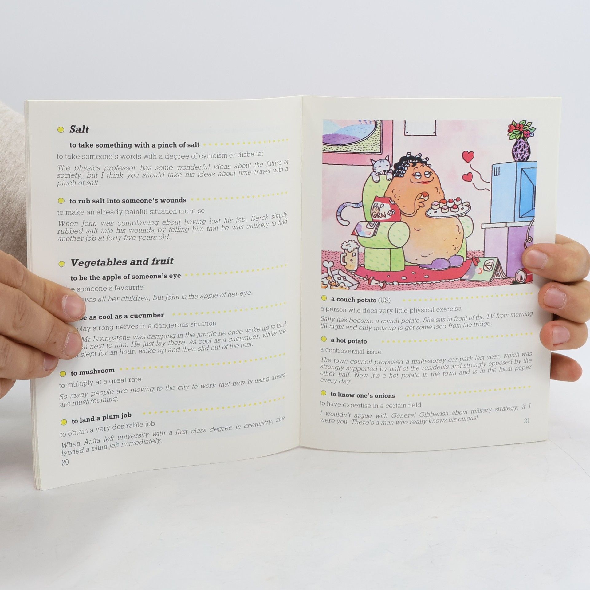 Daniel J. Richardson Illustrated Idiom Handbook Part Two