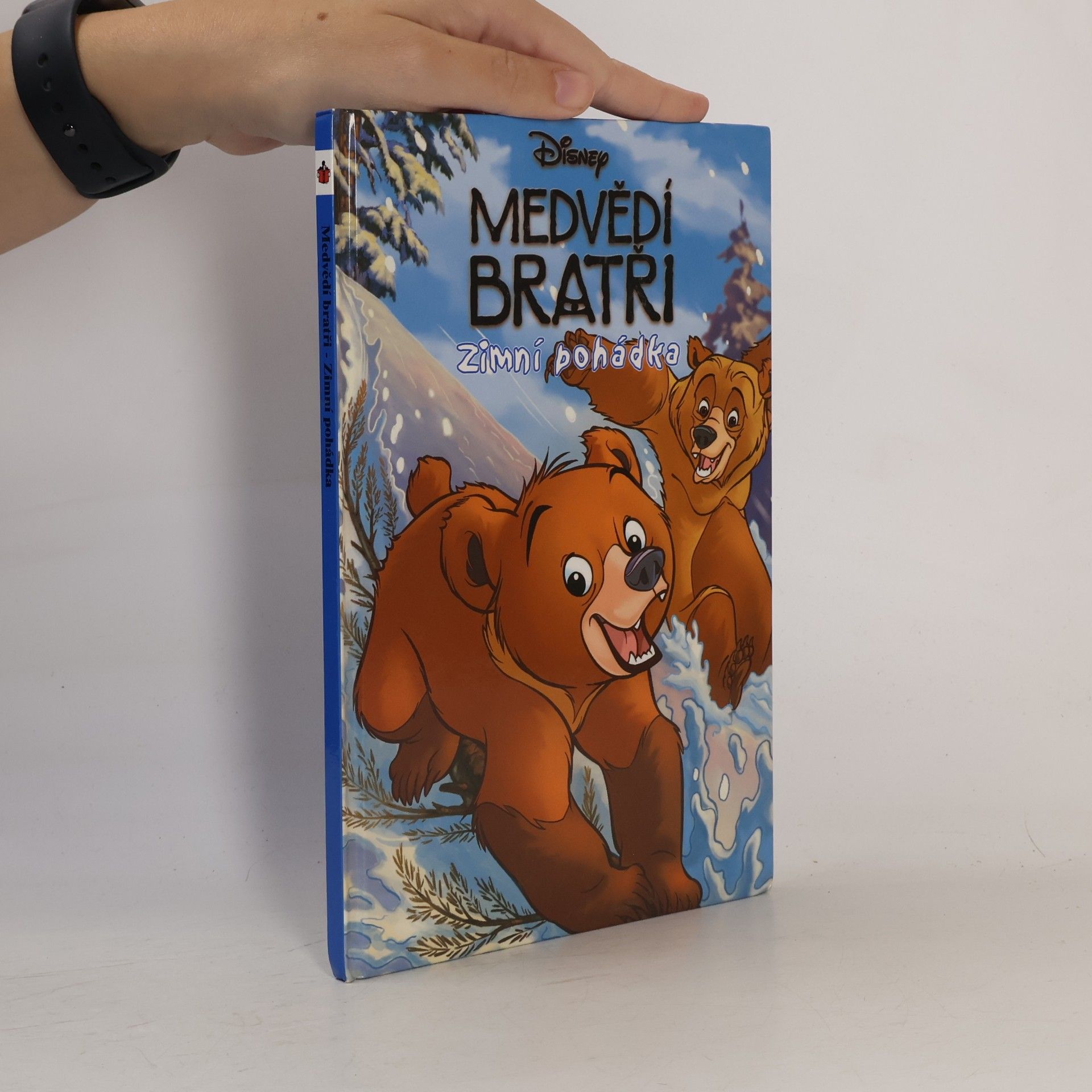 Šárka Kadlecová Medvědí bratři. Zimní pohádka